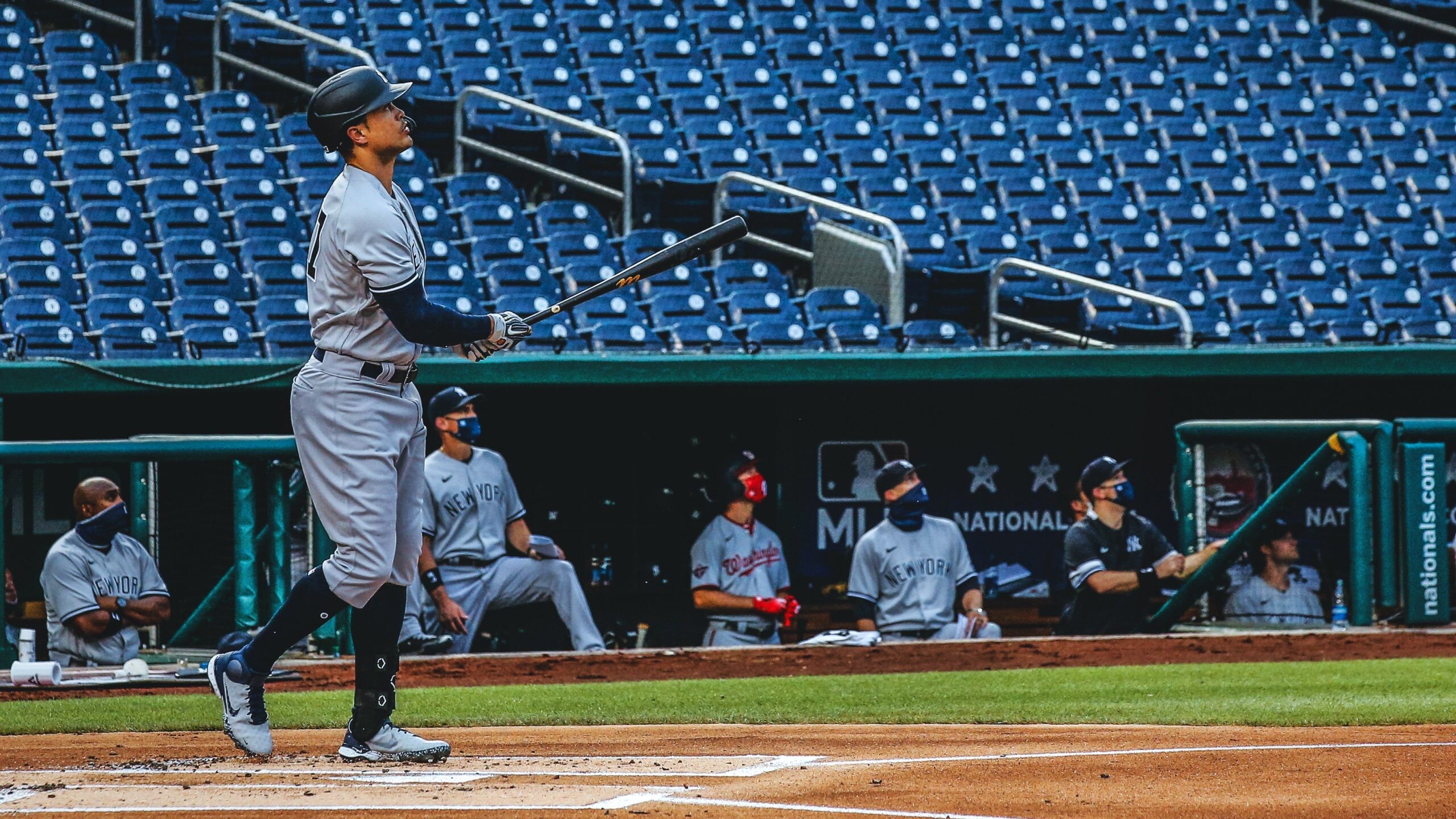 Cole's Giancarlo Stanton, Yankees best hitter, 2560x1440 HD Desktop
