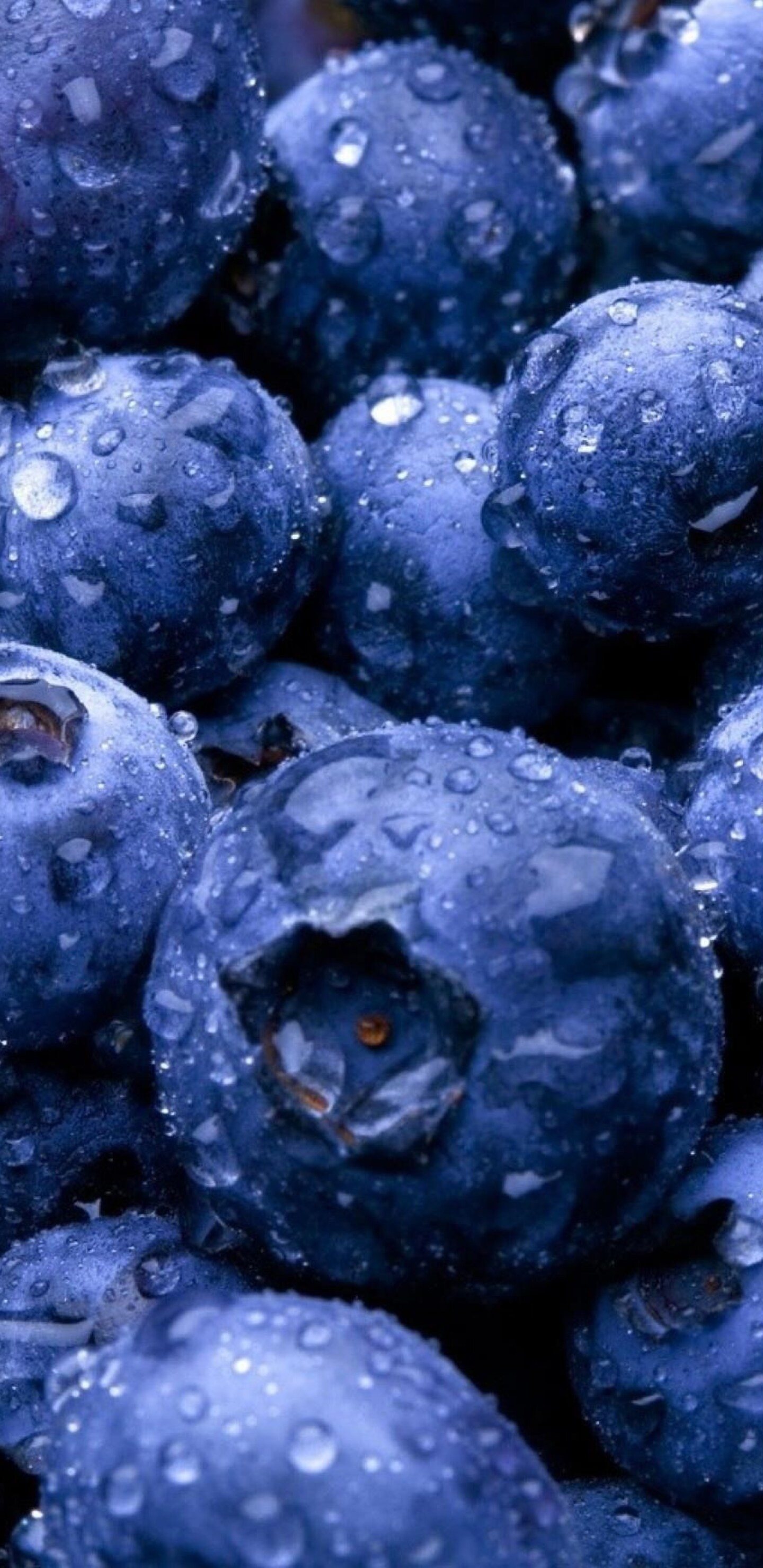Huckleberry, Fruits, Samsung Galaxy Note 9, Blueberry, 1440x2960 HD Phone
