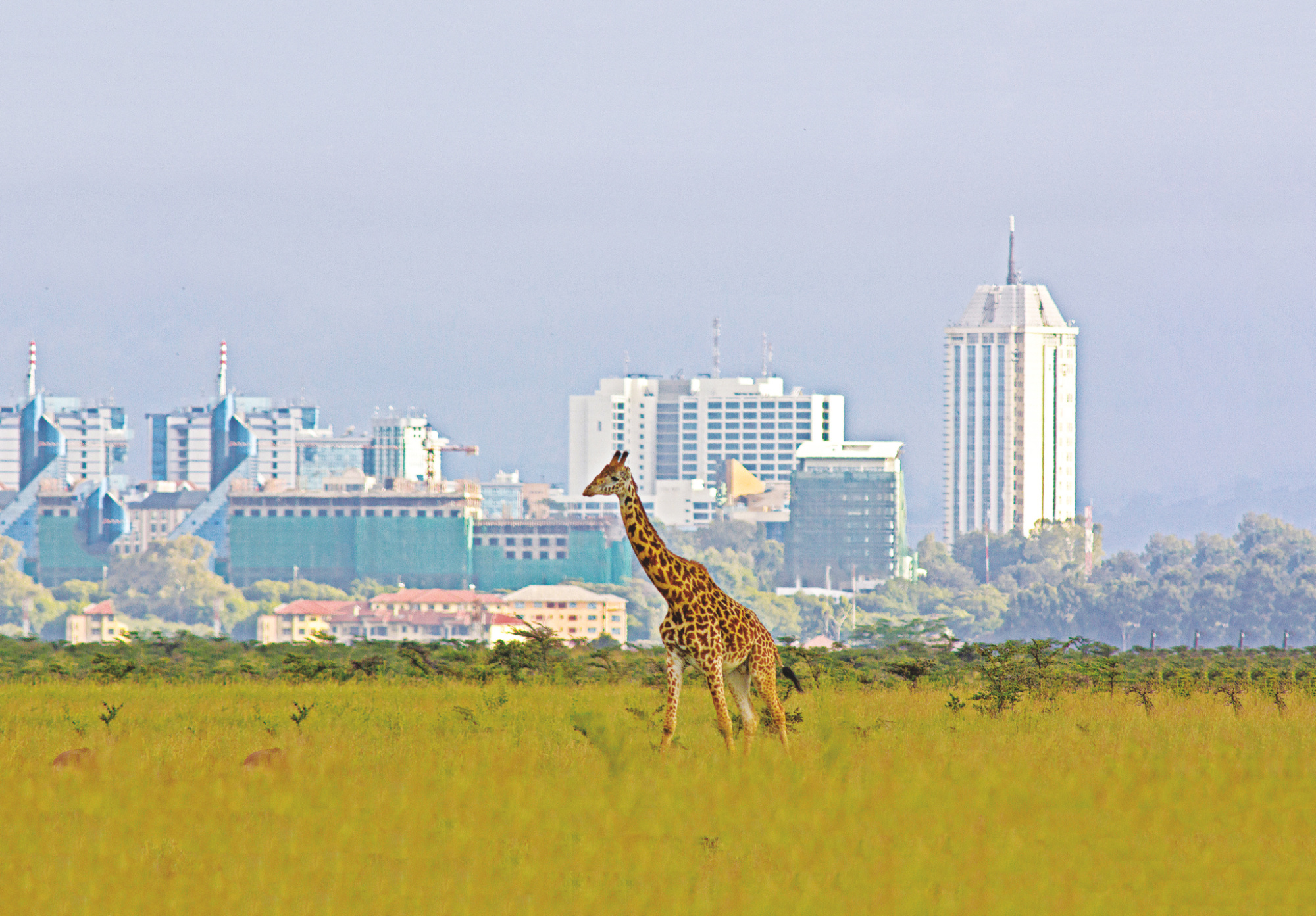 Kenya borders Indian travellers, 2000x1400 HD Desktop