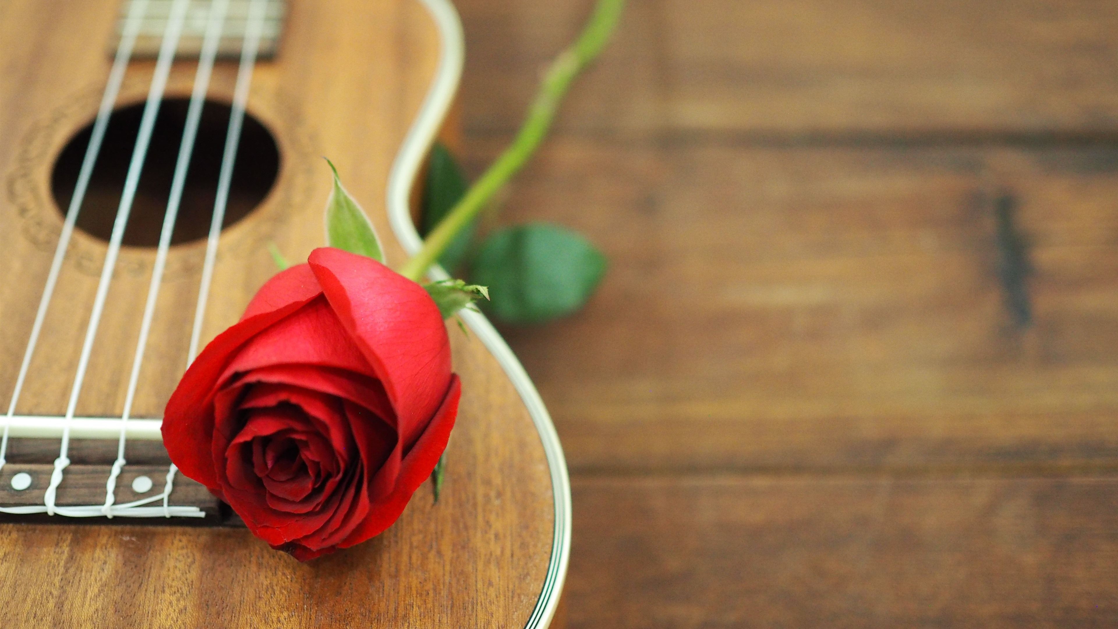 Red guitar fascination, Strumming passion, Visual allure, Captivating backgrounds, 3840x2160 4K Desktop