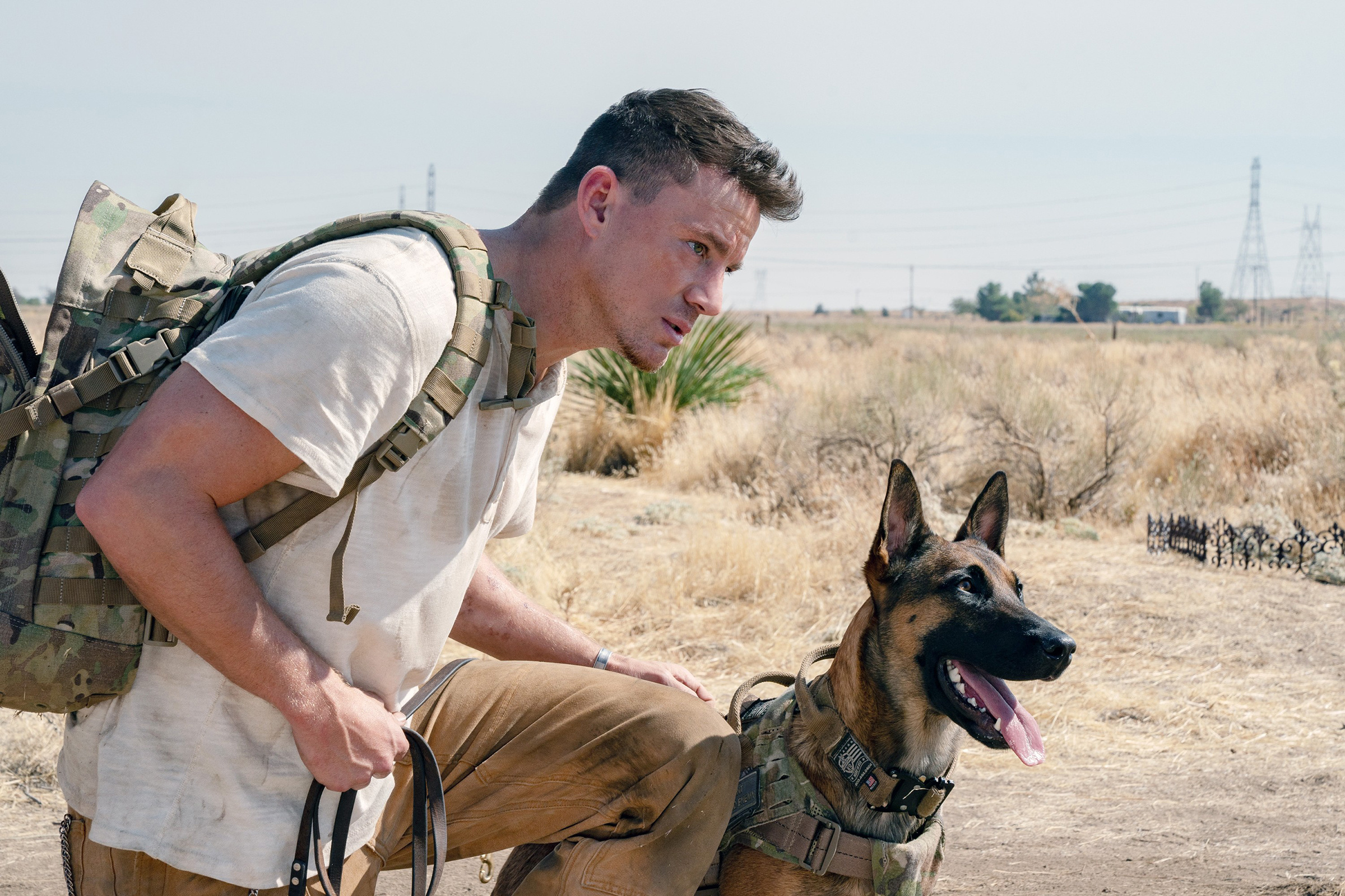 Dog movie, Channing Tatum, Captivating performance, Heartwarming story, 2400x1600 HD Desktop