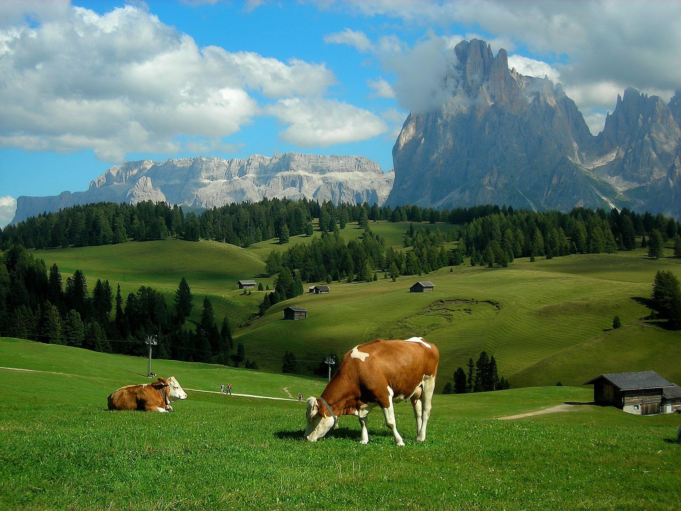 The Alps, Farms Wallpaper, 2600x1950 HD Desktop