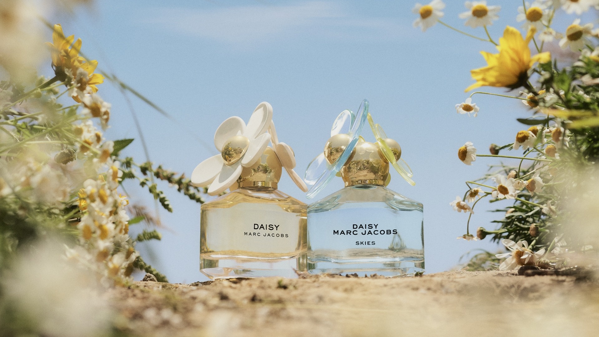 Buy Marc Jacobs, Limited edition Eau de Toilette, Daisy Skies, 50ml, 1920x1080 Full HD Desktop