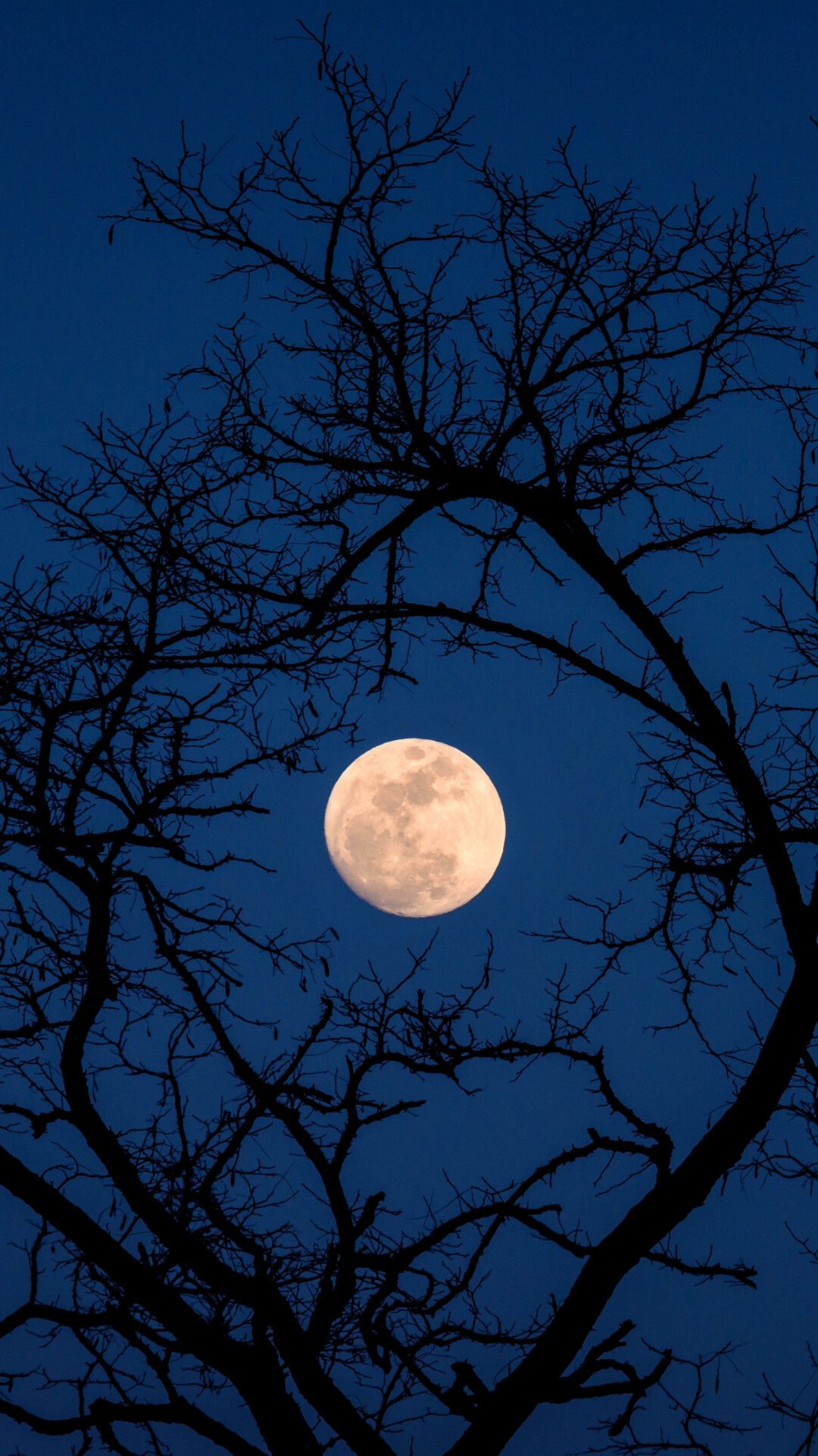 Moon in Beijing, 4k HD wallpaper, Aerial beauty, Lunar scenery, 1080x1920 Full HD Phone