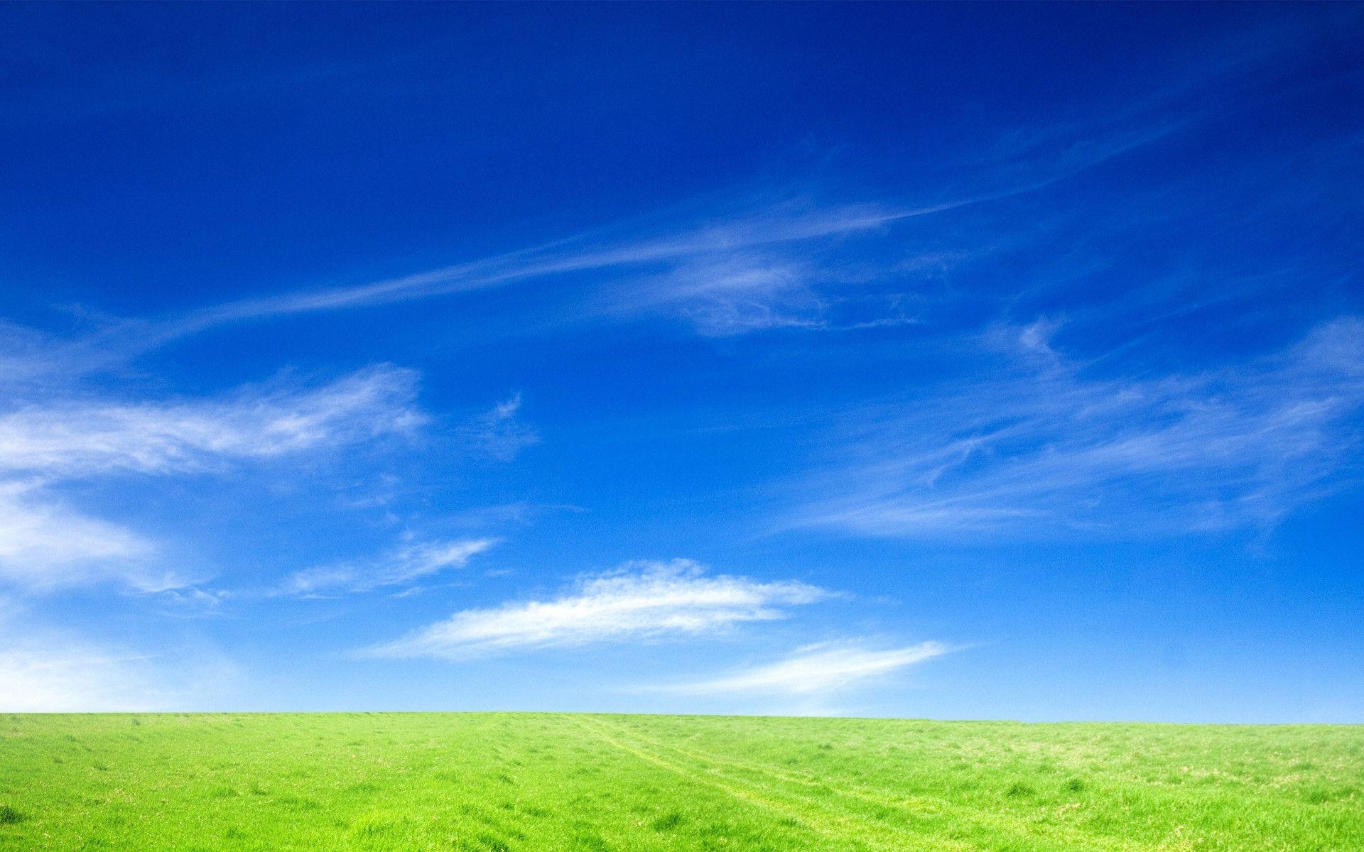 rolling green meadow, wispy white cirrus clouds, vibrant blue sky, HD Desktop wallpaper