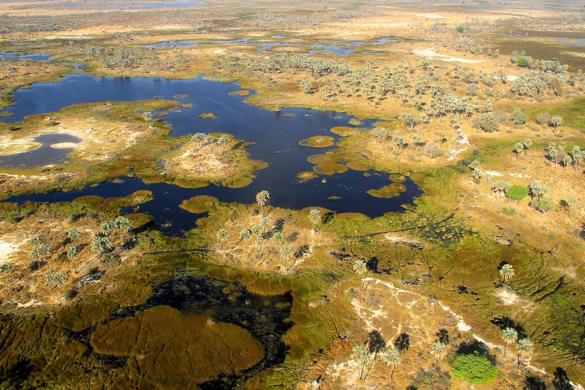 Botswana Globetrotter, African specialist, Unforgettable journeys, Safari experiences, 1920x1280 HD Desktop