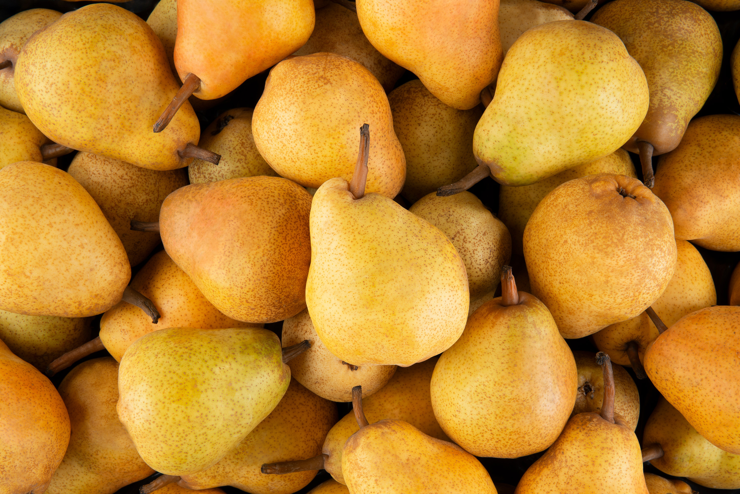 Local pear, Aldermaston, England, Fresh, 3000x2010 HD Desktop