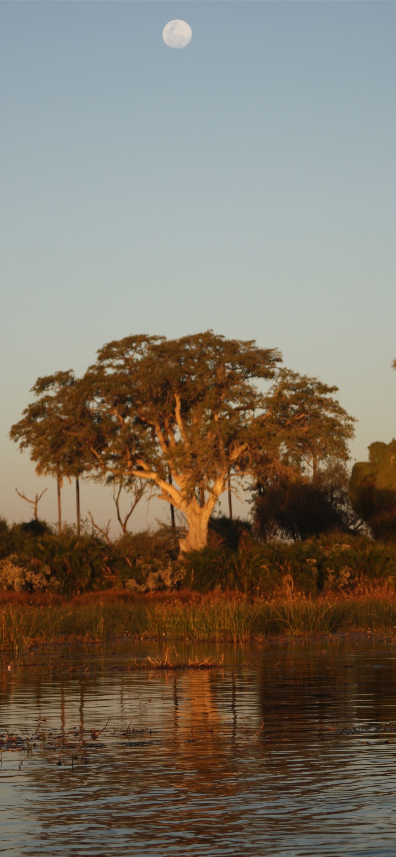 Botswana iPhone wallpapers, Captivating nature, Stunning visuals, Phone wallpaper, 1290x2780 HD Phone