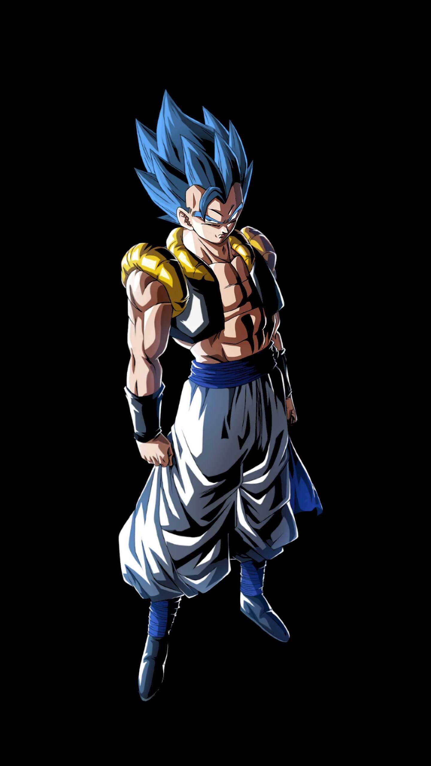 Anime character, Legendary fusion, Powerful warrior, Gogeta, 1440x2560 HD Phone