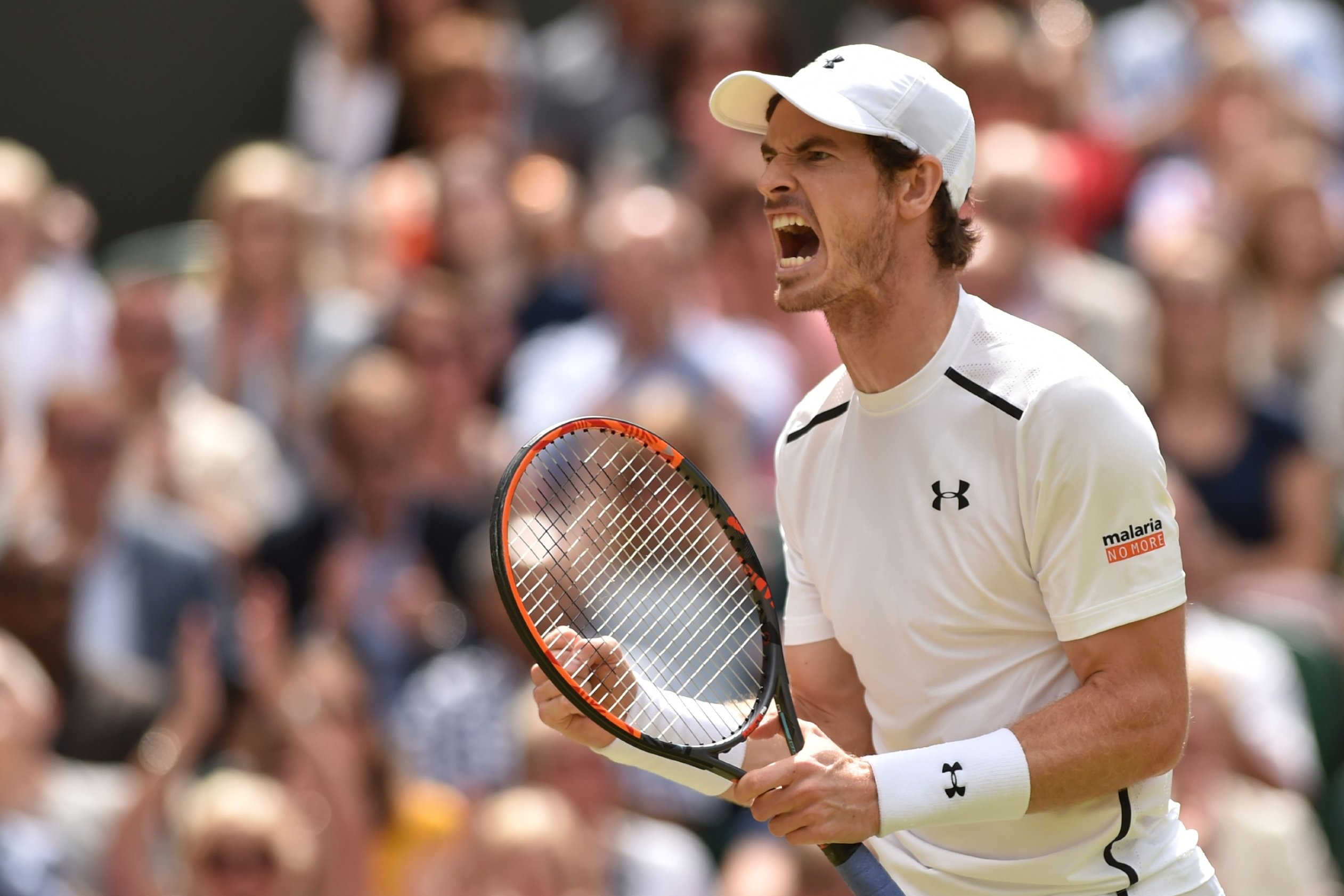 Andy Murray, Second Wimbledon title, CNN, 2530x1690 HD Desktop