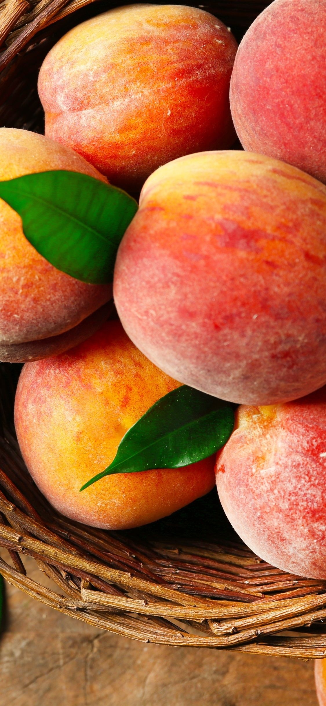 Peach iPhone wallpapers, Captivating backgrounds, Stylish phone display, Peachy perfection, 1130x2440 HD Phone