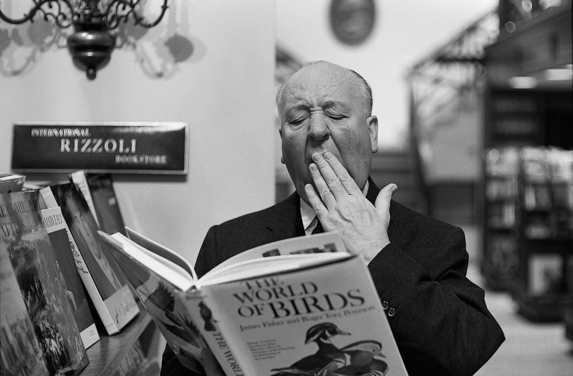 Alfred Hitchcock, HD wallpapers, Backgrounds, 1920x1260 HD Desktop