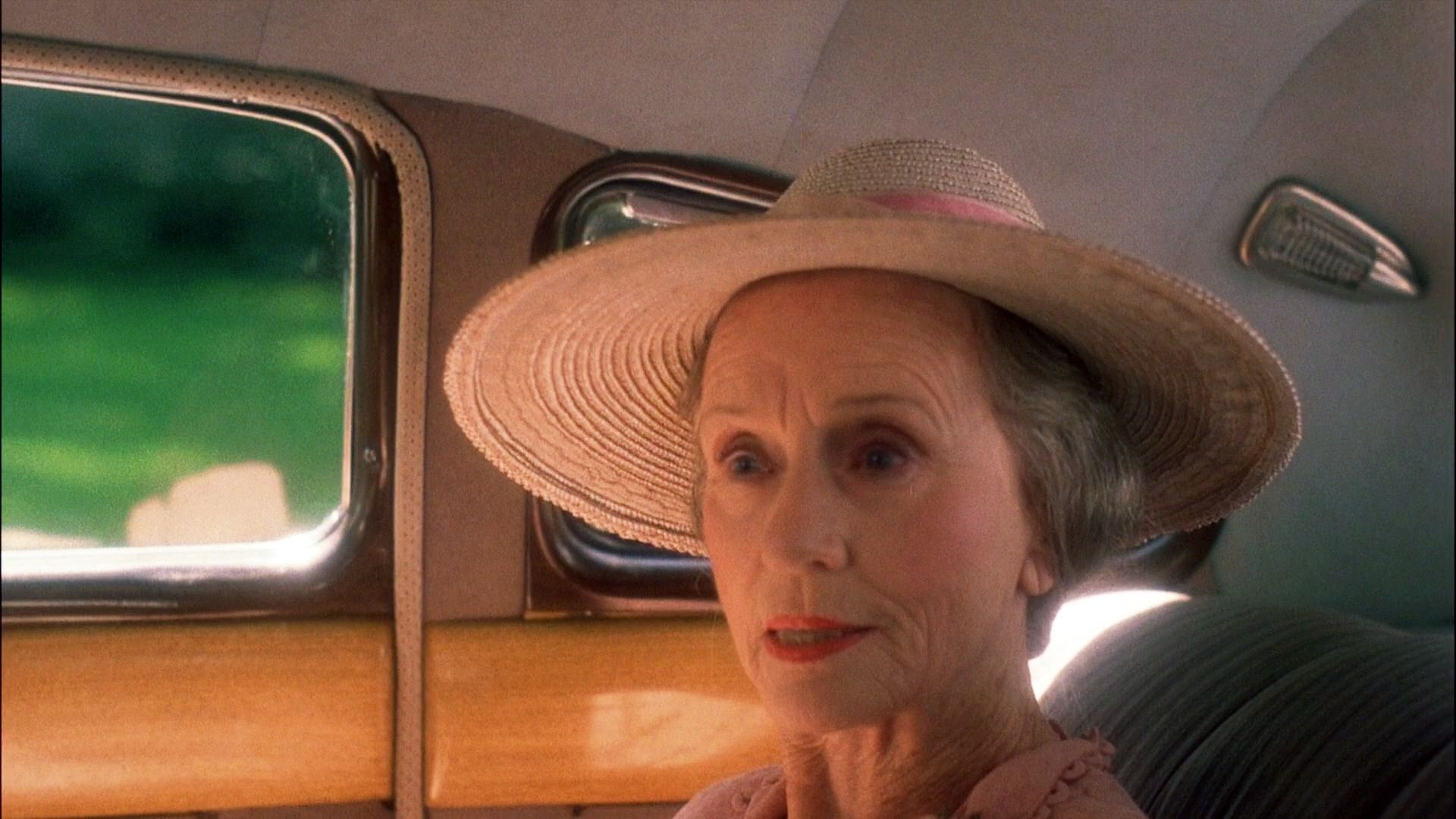 Driving Miss Daisy, Memorable film, Zoo memory, Iconic film, 1920x1080 Full HD Desktop