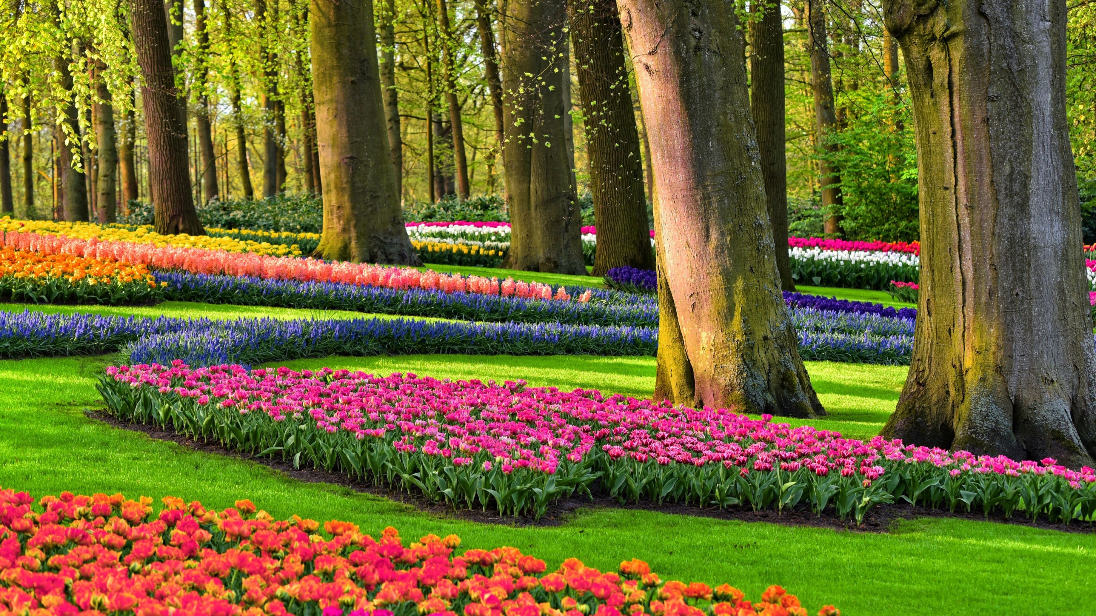 Park, Flower Garden Wallpaper, 3840x2160 4K Desktop
