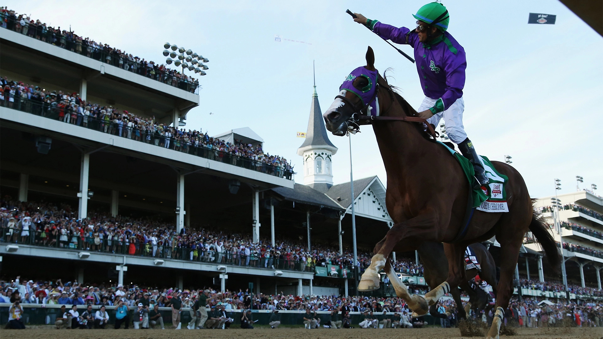 California Chrome, Kentucky Derby Wallpaper, 1920x1080 Full HD Desktop