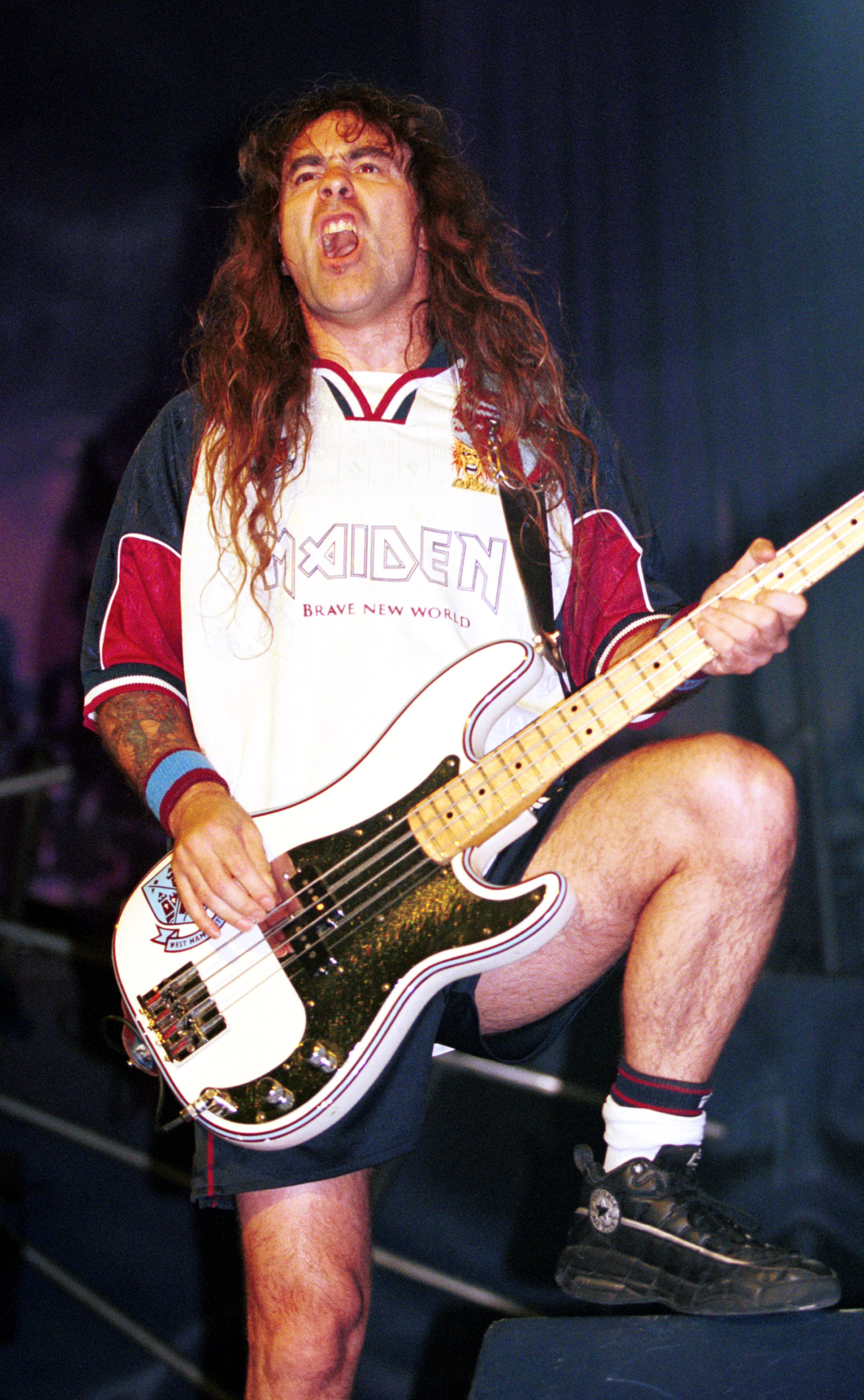 Steve Harris, Musician, Joe Music Quiz, Week 1, 1860x3000 HD Phone