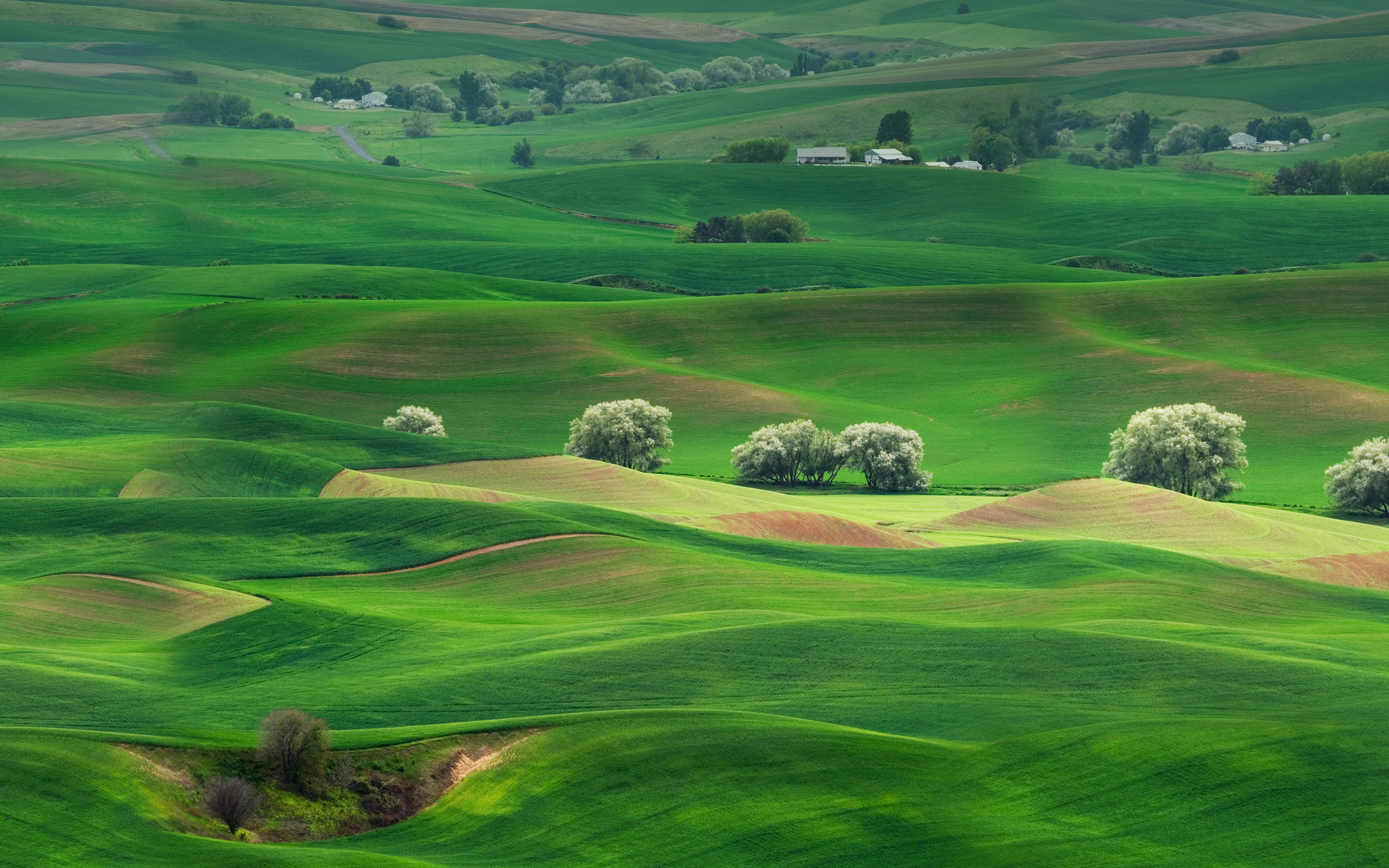 Grassland HD wallpapers, Natural wonders, Wide-open spaces, Pristine beauty, 2880x1800 HD Desktop