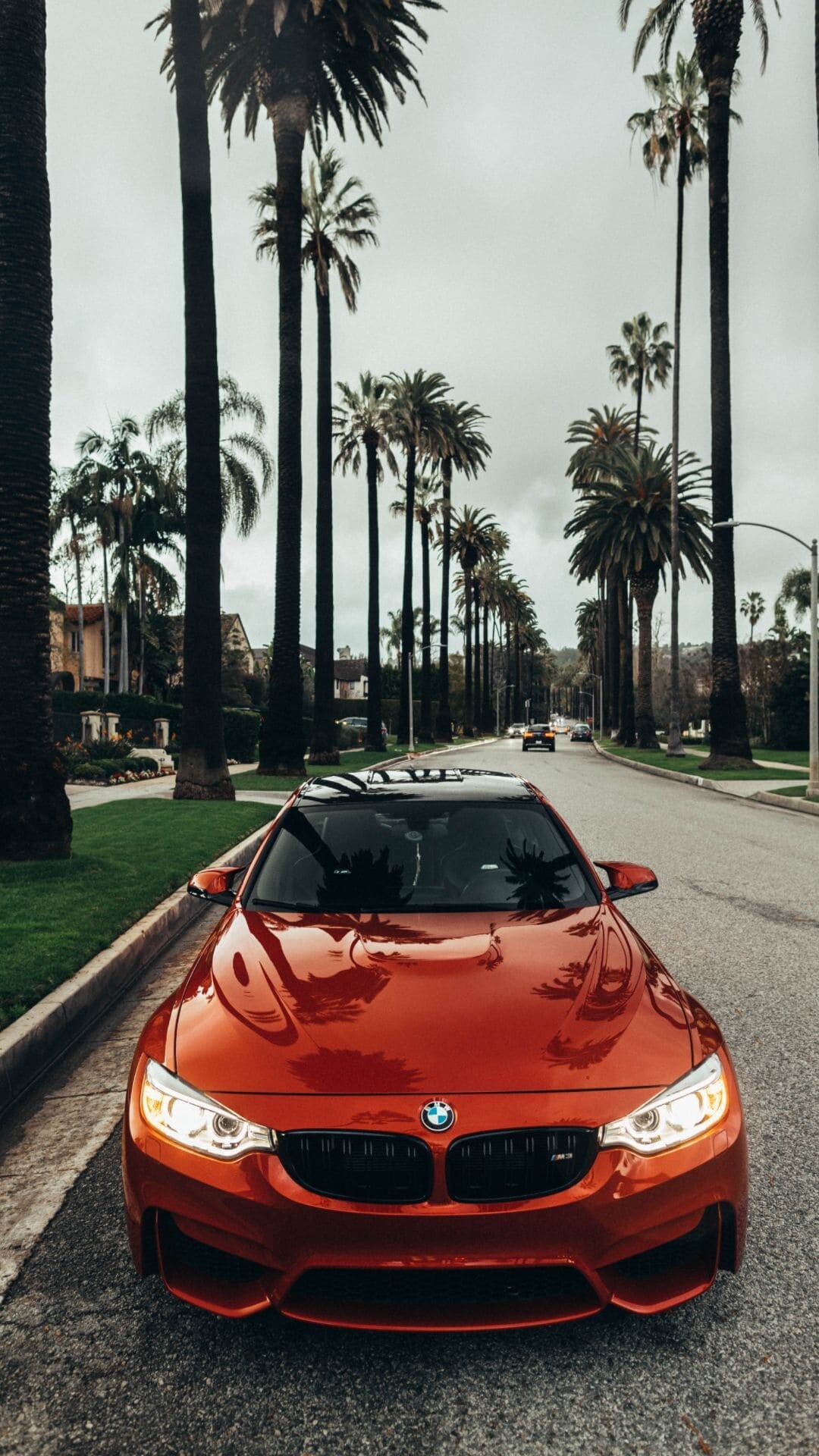 BMW perfection, Top wallpapers, High definition beauty, Elite brand, 1080x1920 Full HD Phone