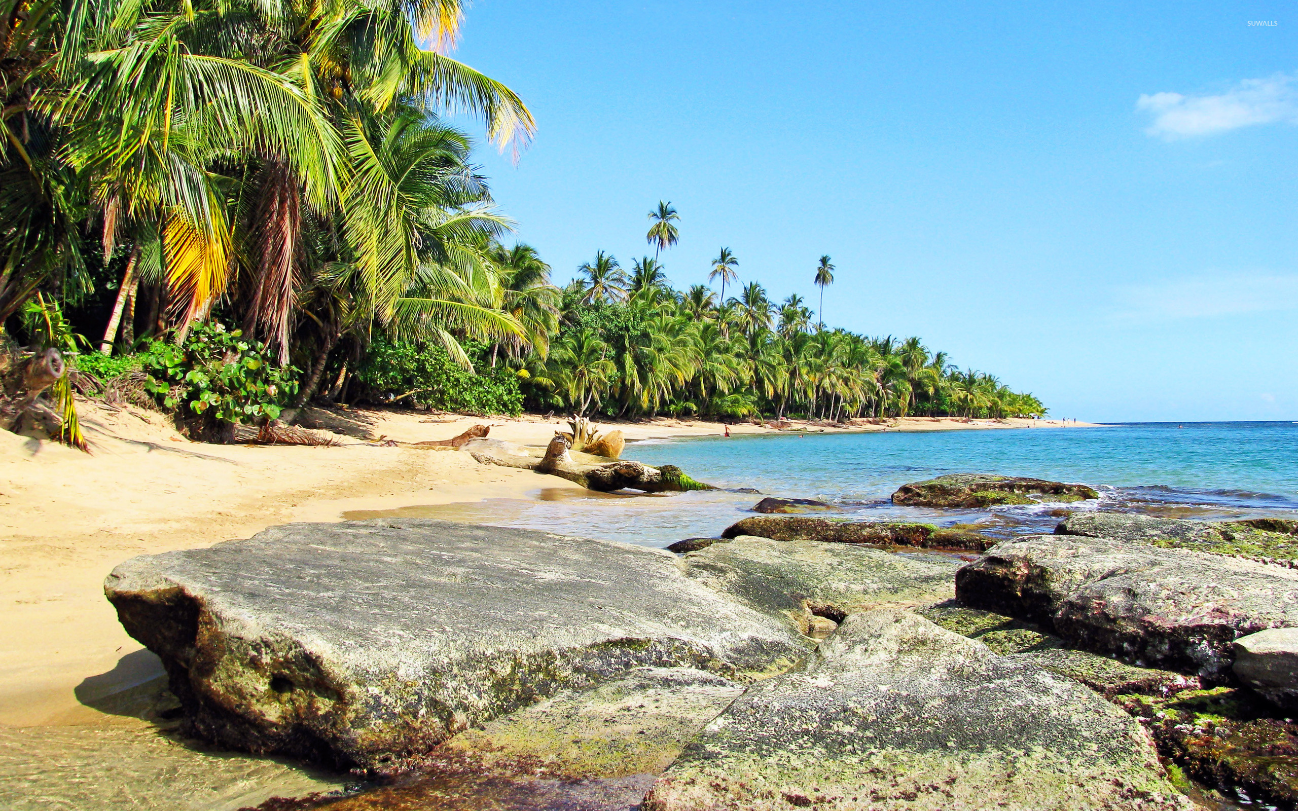 Puerto Viejo de Talamanca, Costa Rica Wallpaper, 2560x1600 HD Desktop