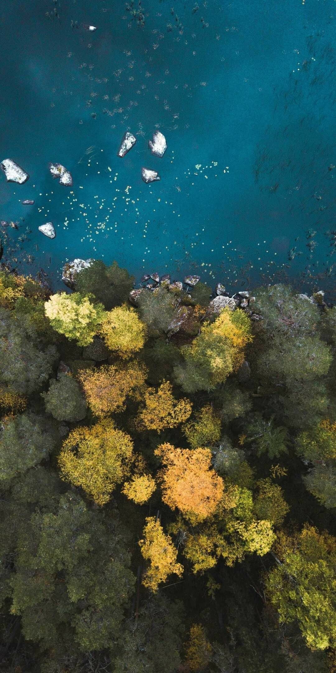 Great Barrier Reef, Breathtaking environment, Marine biodiversity, Underwater paradise, 1080x2160 HD Phone