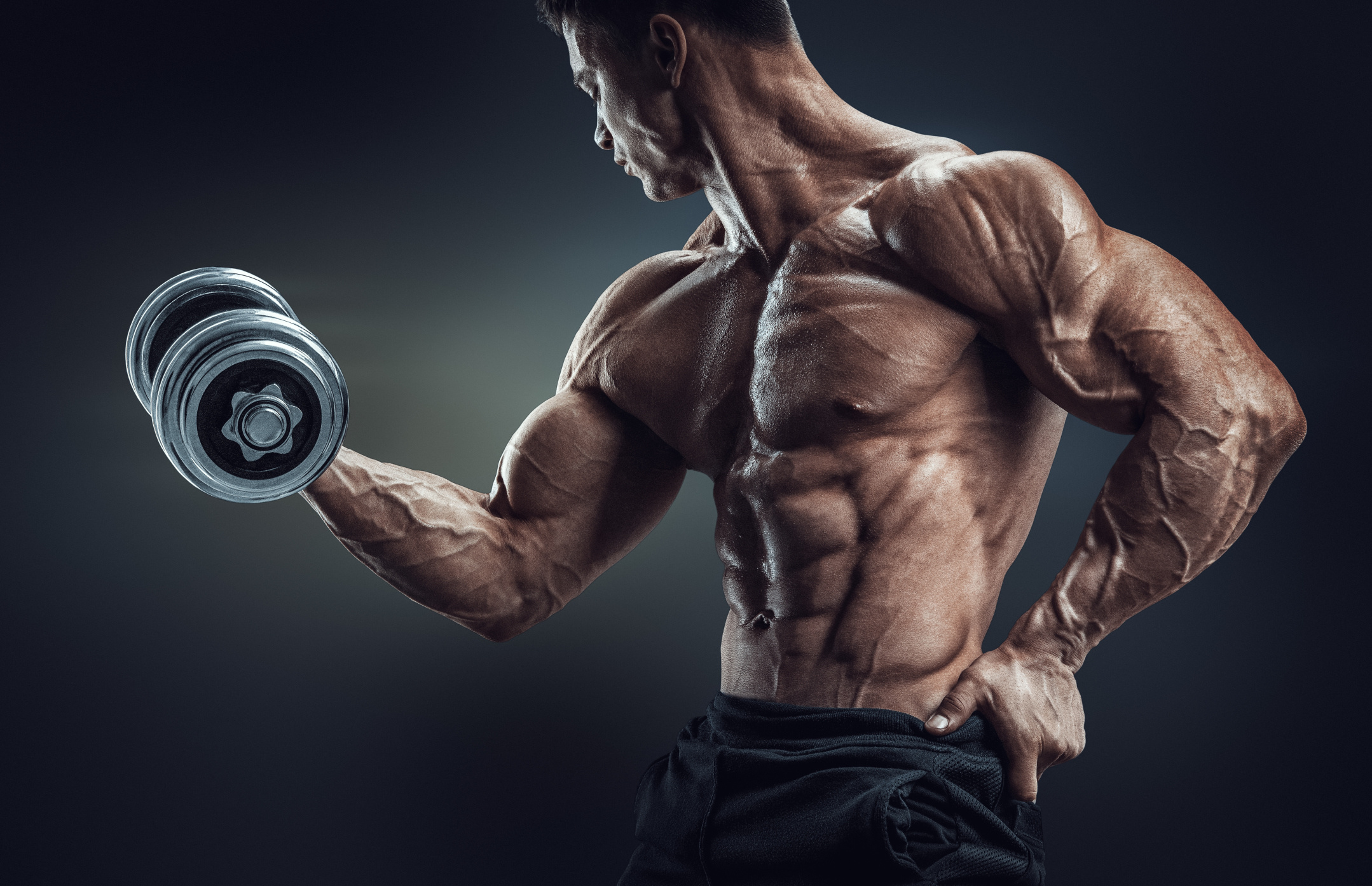 Muscular male bodybuilder, Chrome dumbbell bicep curl, Chiseled vascular torso, HD Desktop wallpaper