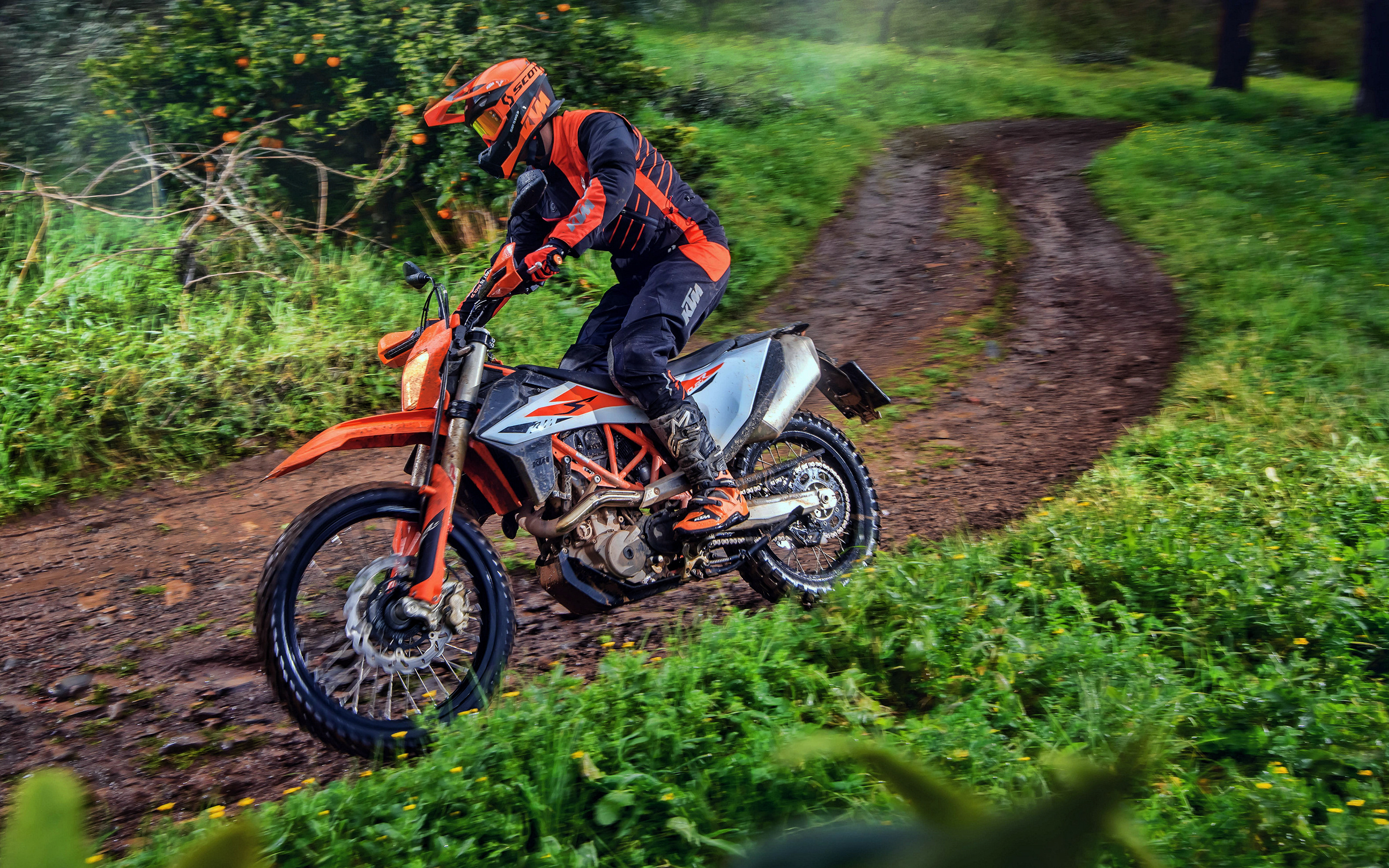 KTM 690 ENDURO, Forest HDR Extreme, 2019 bikes, Motocross, 2880x1800 HD Desktop