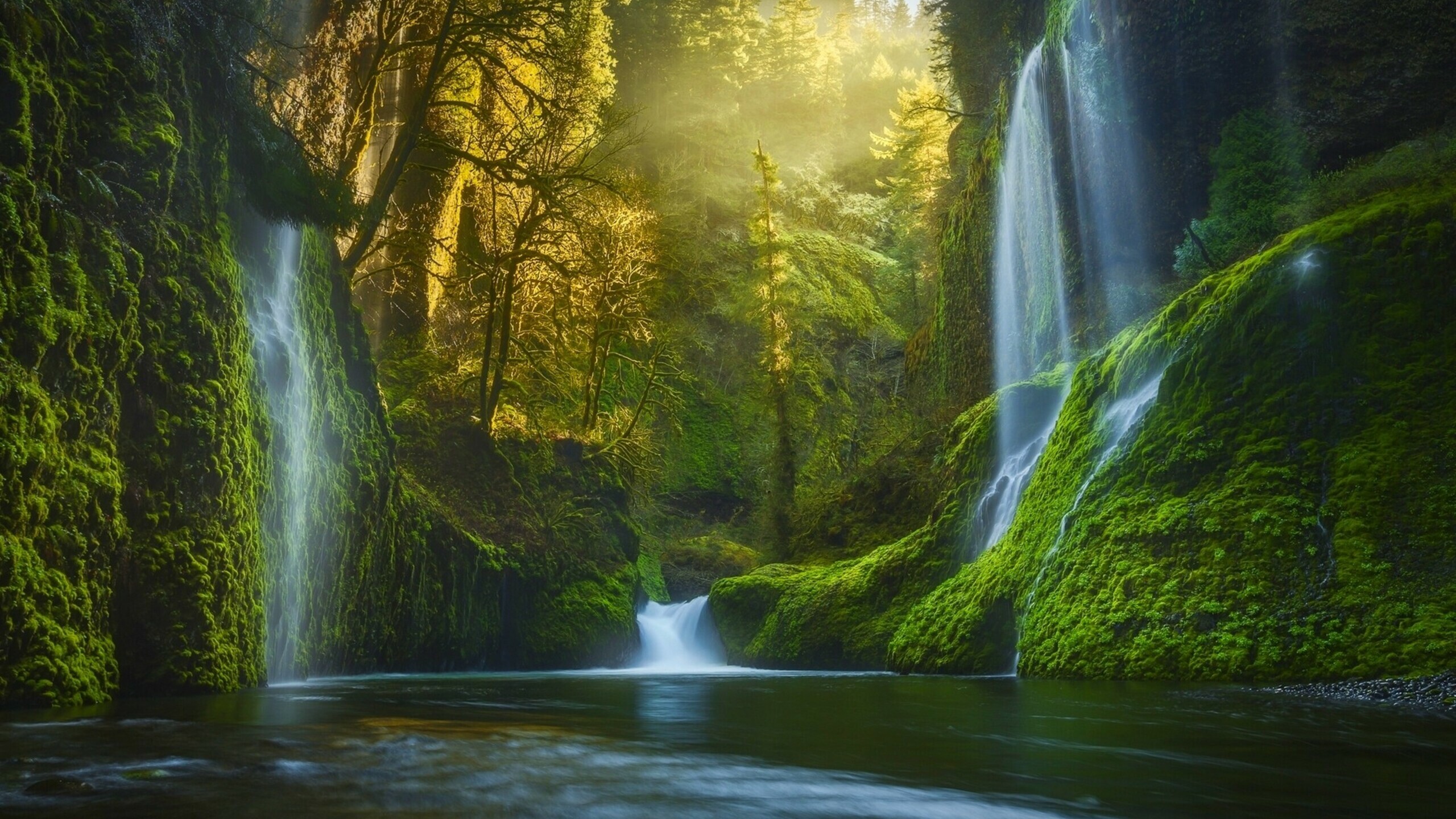 Waterfall beauty, Dreamy paradise, 1440p resolution, HD wallpapers, 2560x1440 HD Desktop