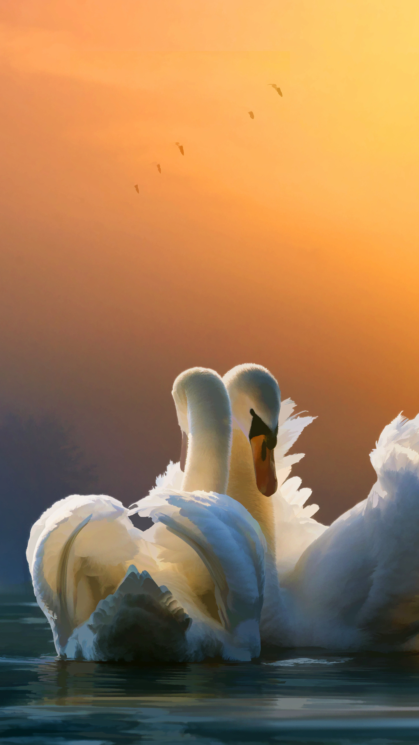 Swan couple, S6 S7 Pixel, XL Nexus, HD 4K, 1440x2560 HD Phone