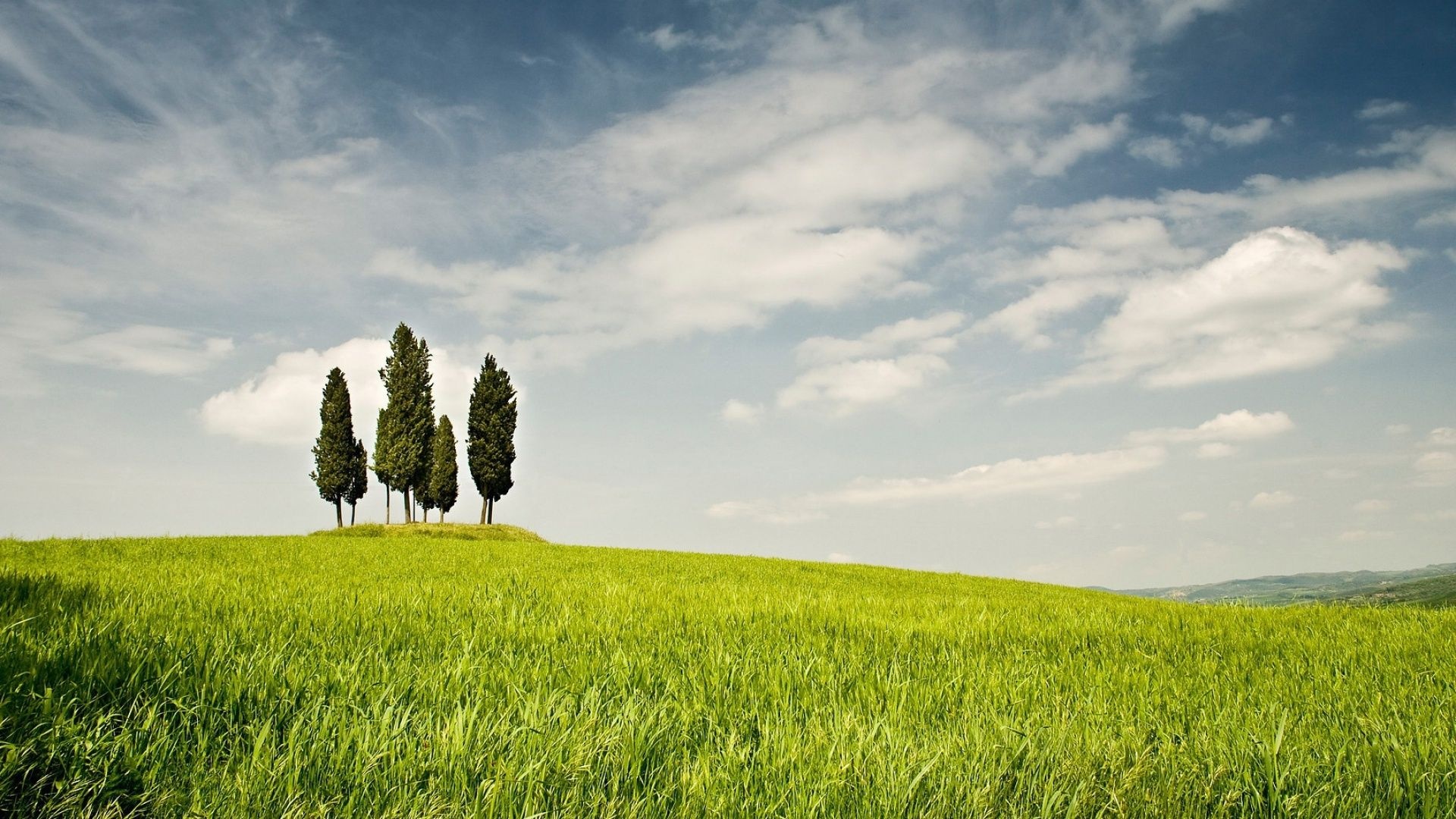 Grass trees field, Cloudy sky, Natural scenery, Captivating wallpaper, 1920x1080 Full HD Desktop