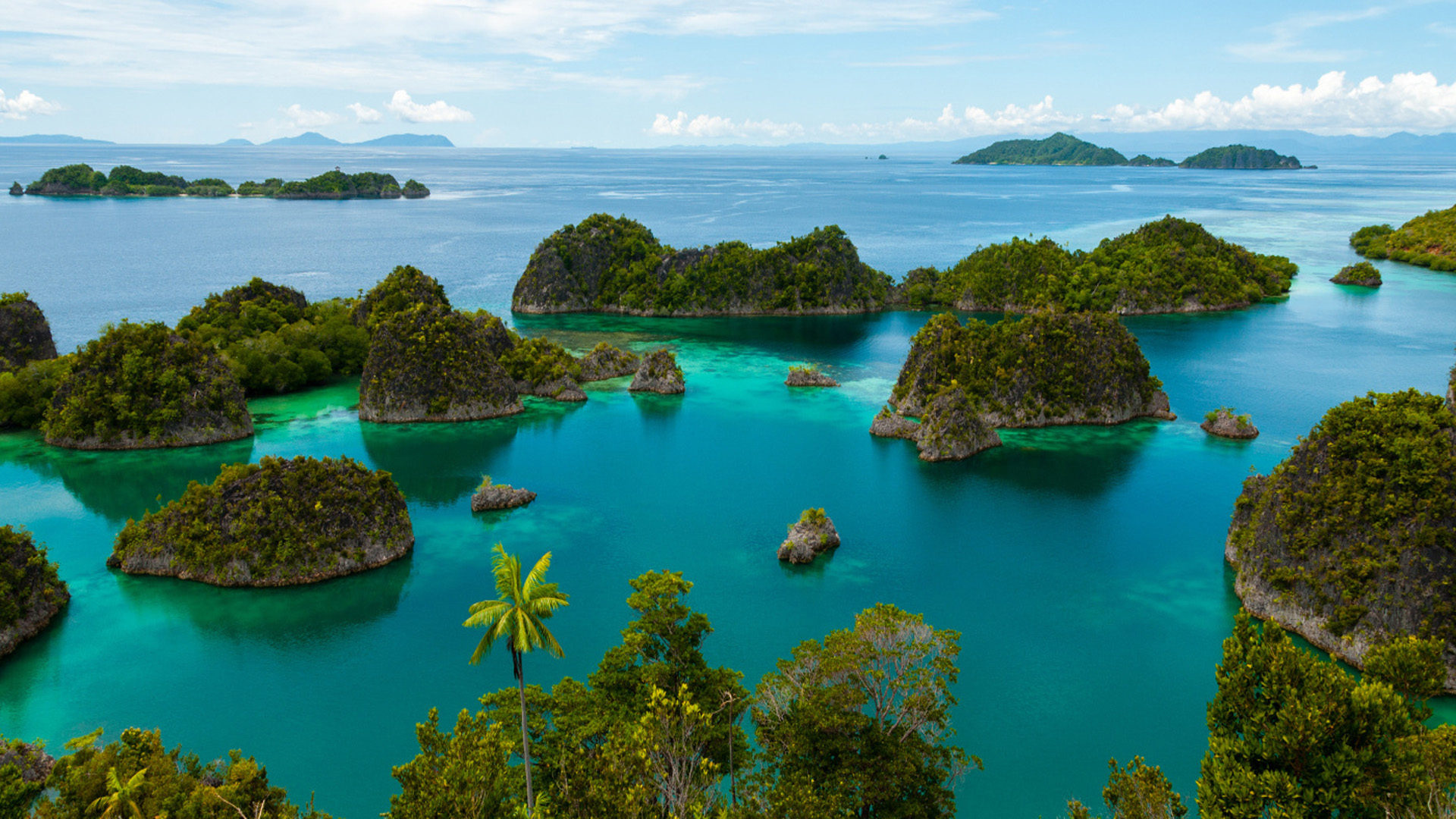 Scuba diving in Raja Ampat, Indonesia tropics, Best diving spots, HD wallpaper, 1920x1080 Full HD Desktop