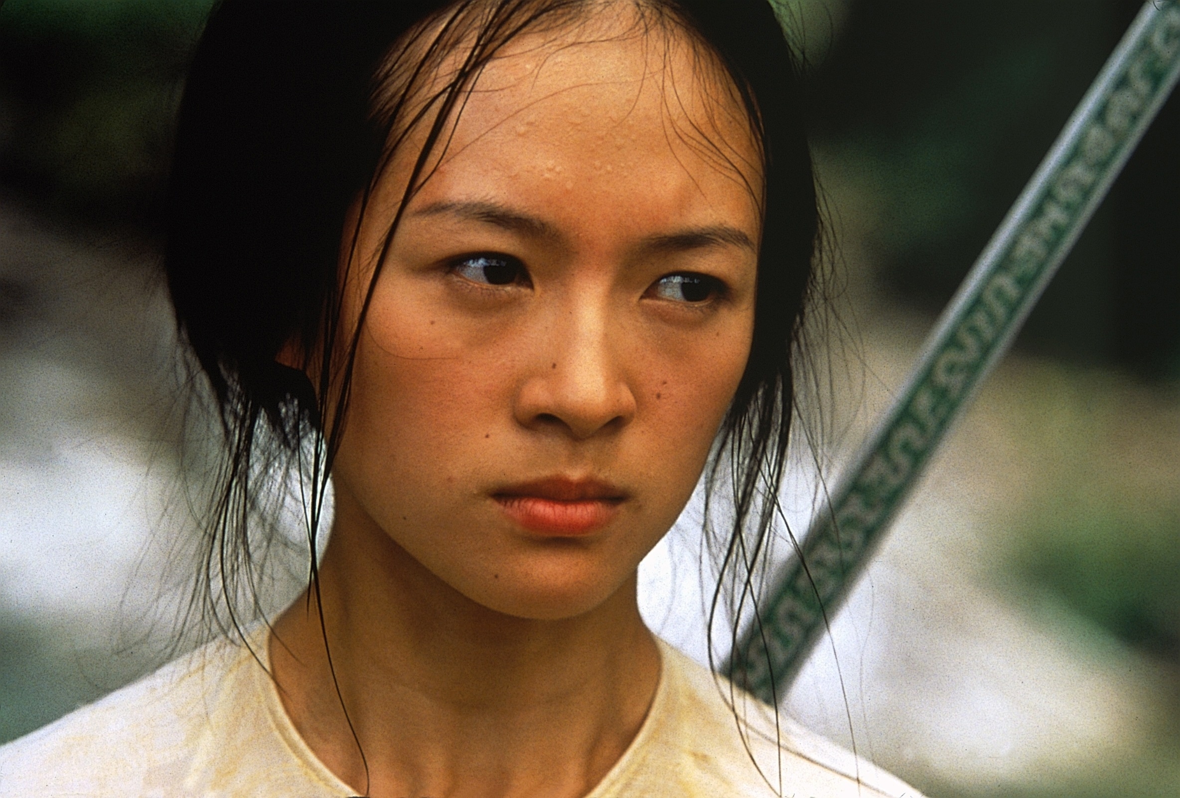 Crouching Tiger, Hidden Dragon, Martial arts action, Warrior sword, Katana wallpapers, 2370x1610 HD Desktop