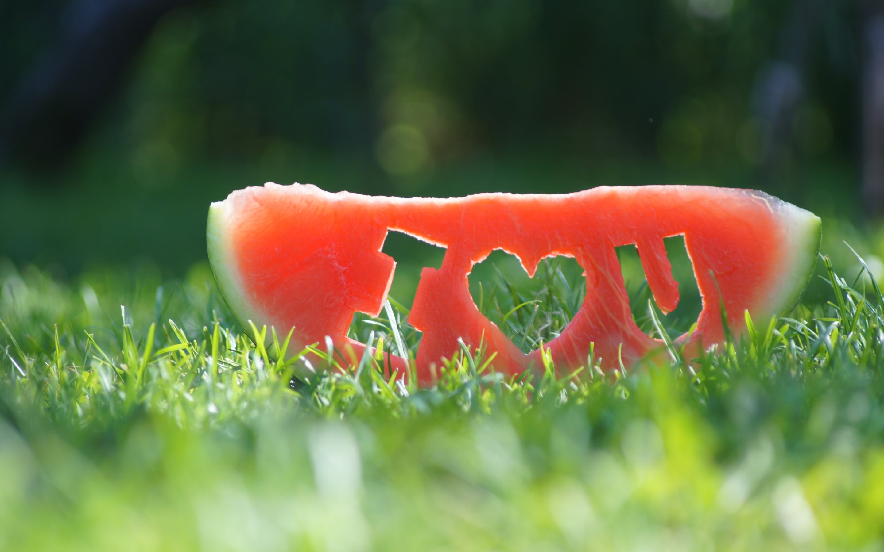 Watermelon fruit love, Heartwarming wallpaper, Sweet gesture, Romantic imagery, 2880x1800 HD Desktop