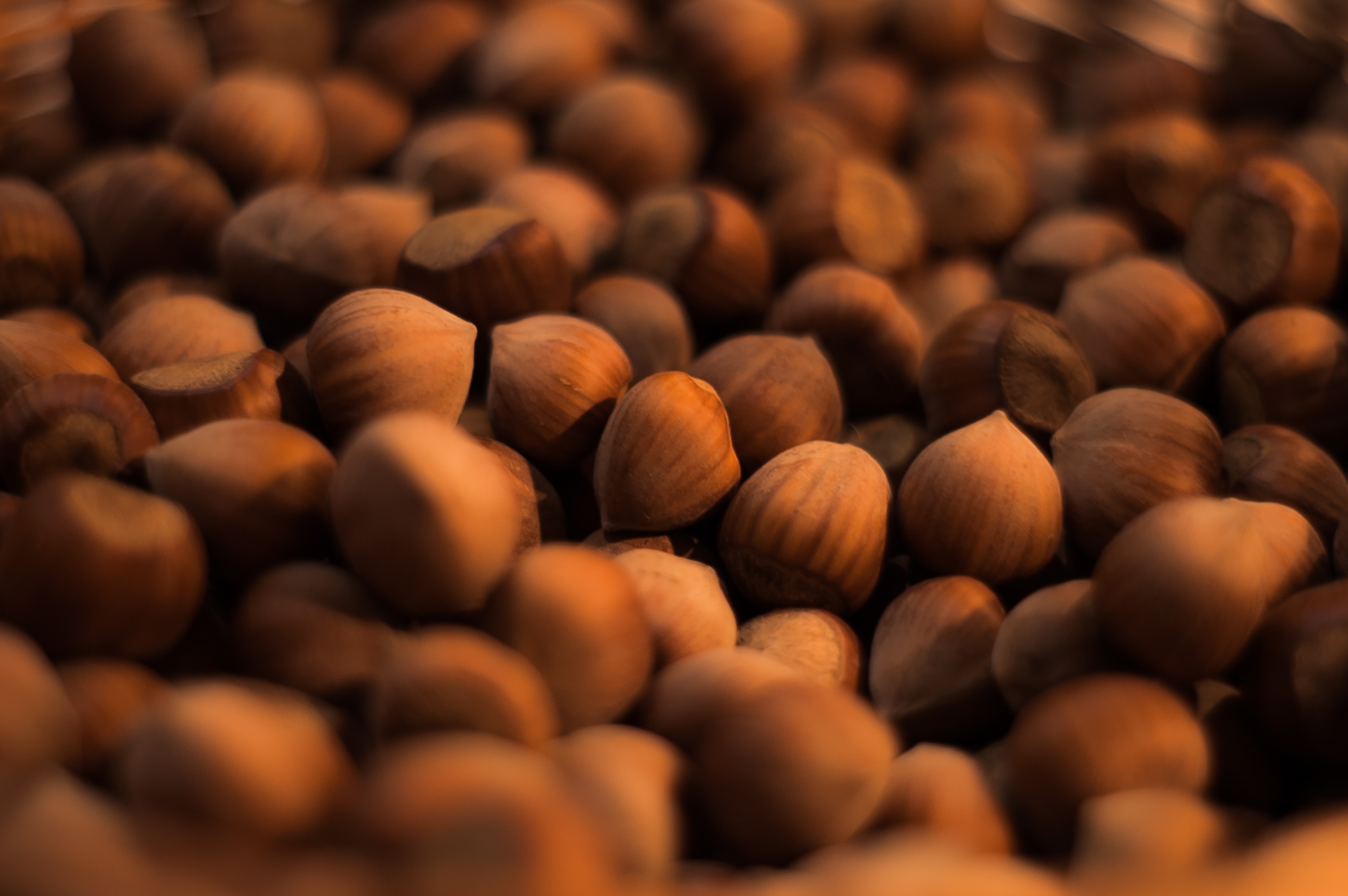 Hazelnuts, Royalty-free images, Nutty delight, Photographic marvel, 3010x2000 HD Desktop