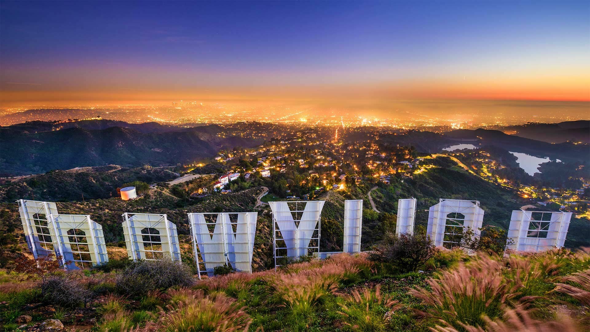 Back view, Hollywood Sign Wallpaper, 1920x1080 Full HD Desktop