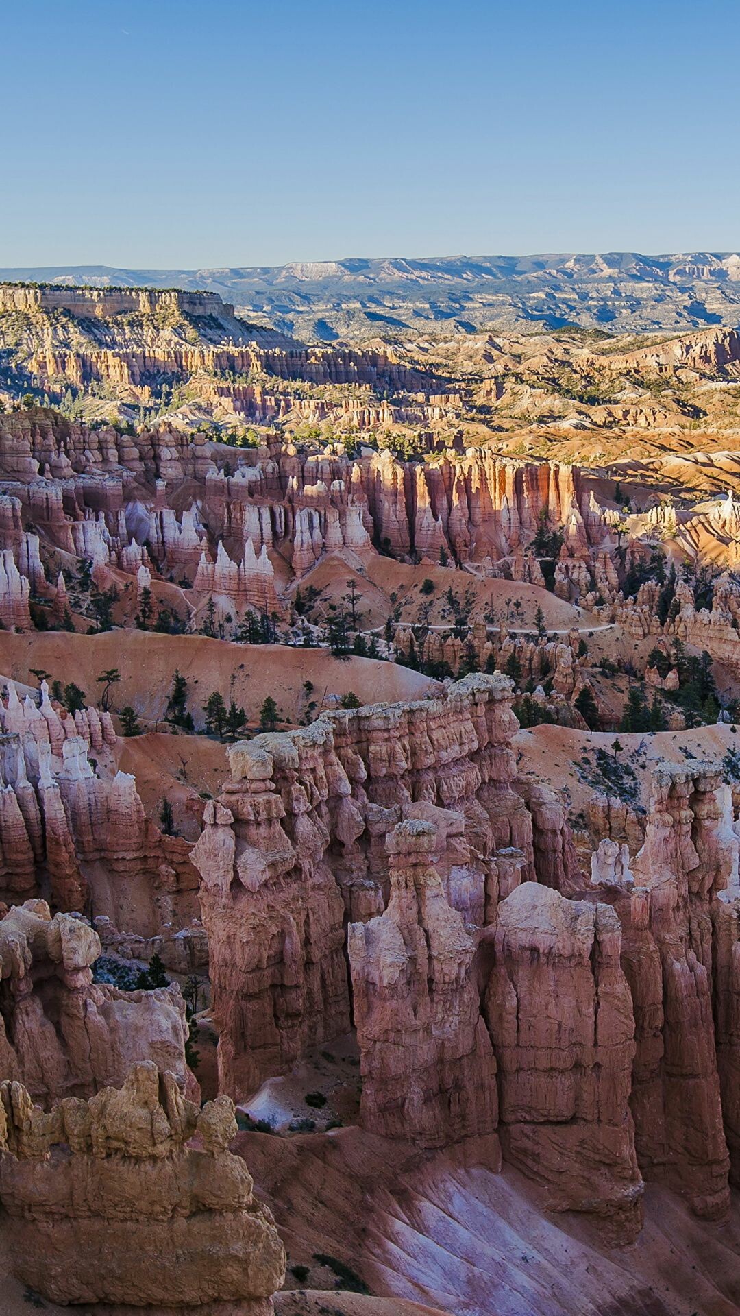 Grand Canyon, Escarpment tree, Bryce Canyon city, Zion National Park, 1080x1920 Full HD Phone