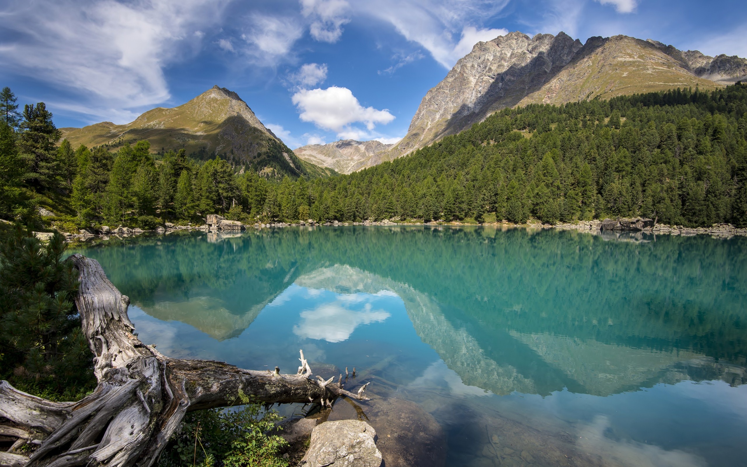 South Island, New Zealand, Reflection, HD wallpaper, 2560x1600 HD Desktop