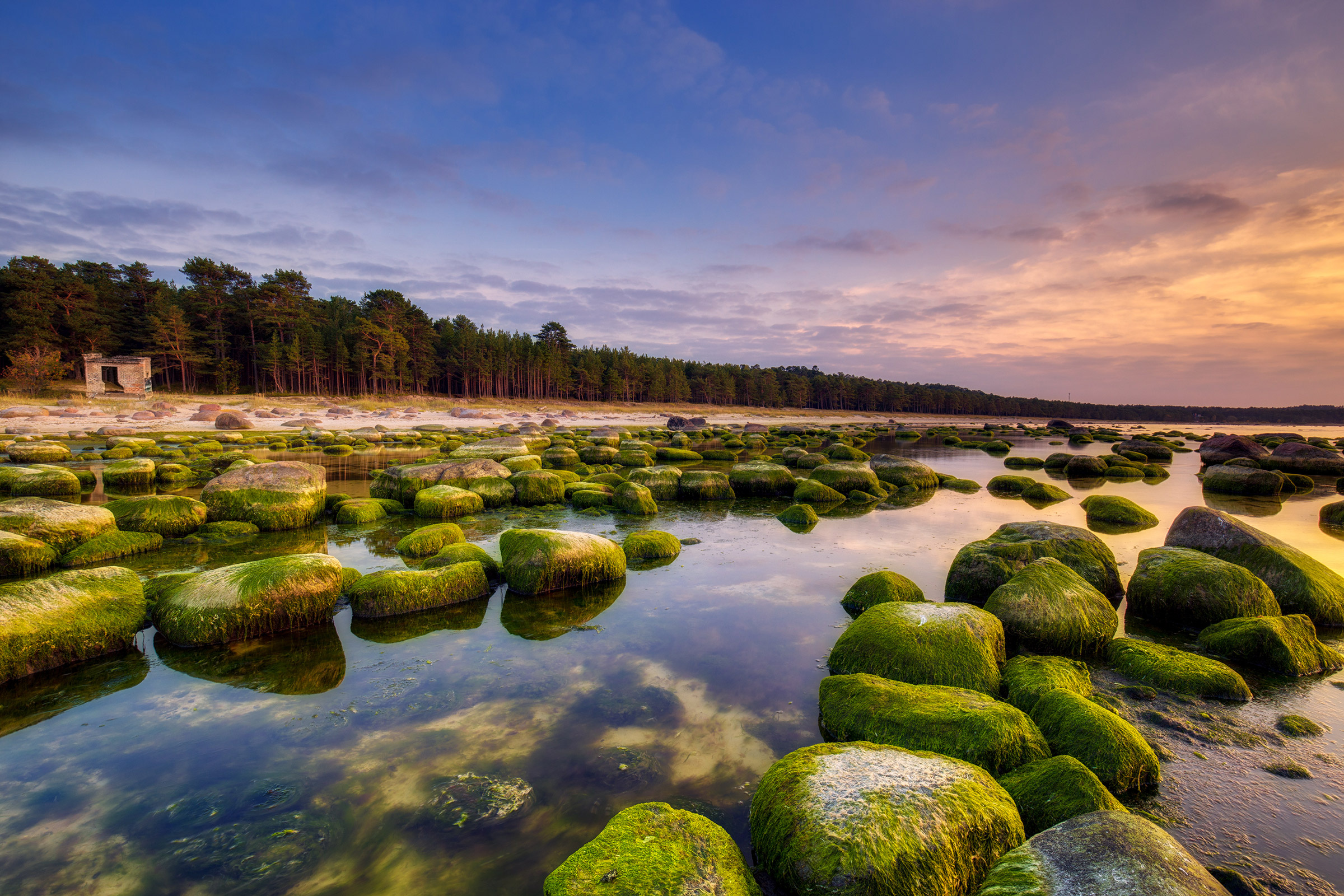 Montessori internationale, Estonia, Association, 2400x1600 HD Desktop