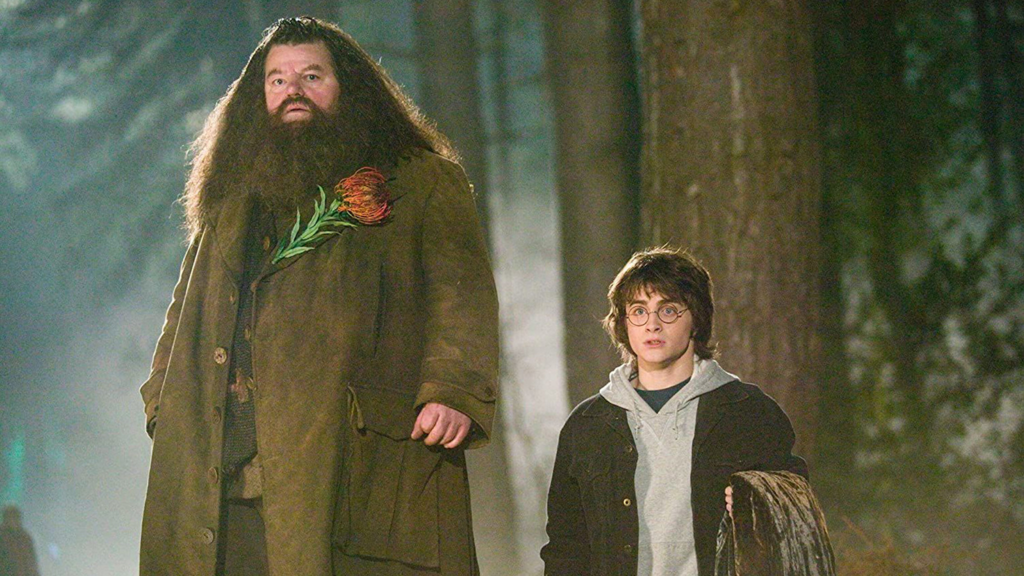 Hagrid's 6 best quotes, Wise words, Heartfelt advice, Valuable life lessons, 2050x1160 HD Desktop