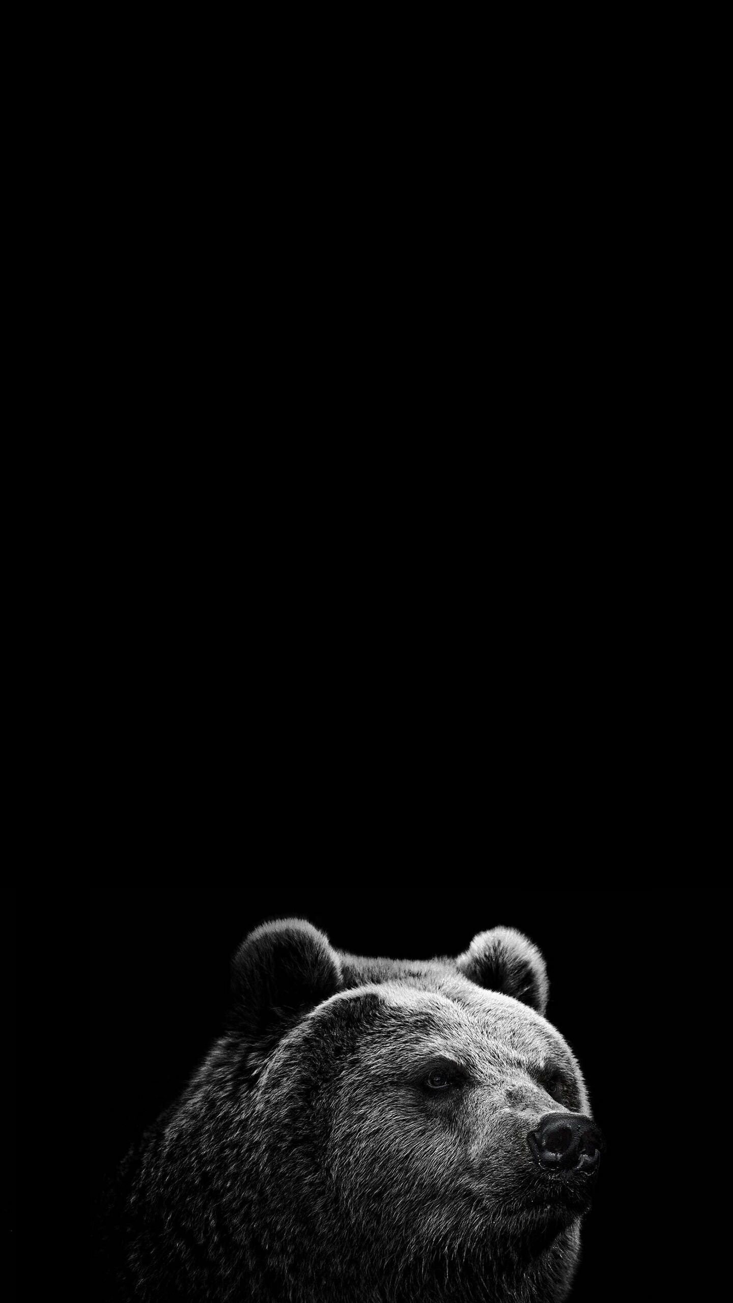 Bear, Artistic wallpaper, Cute illustrations, Phone background, 1440x2560 HD Phone