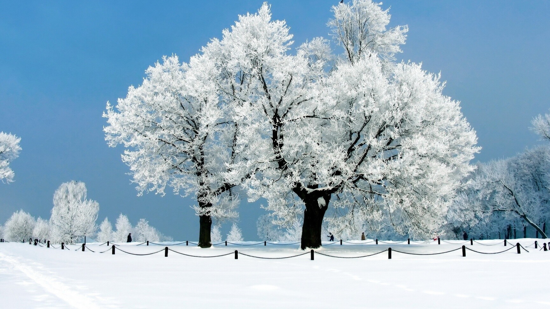 Winter wonderland, Frozen beauty, Windows 7 theme, Magical snow, 1920x1080 Full HD Desktop