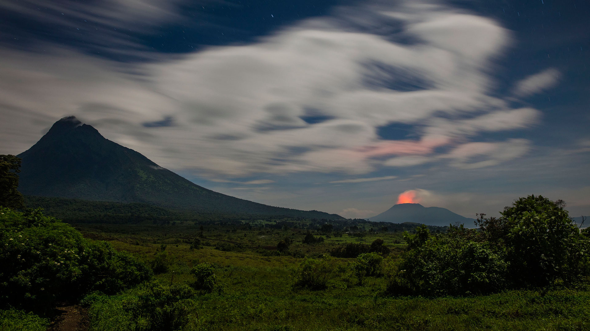 Gorilla safari in Virunga, Close encounters, Juvenile gorilla sighting, Immersive wildlife experience, 1920x1080 Full HD Desktop