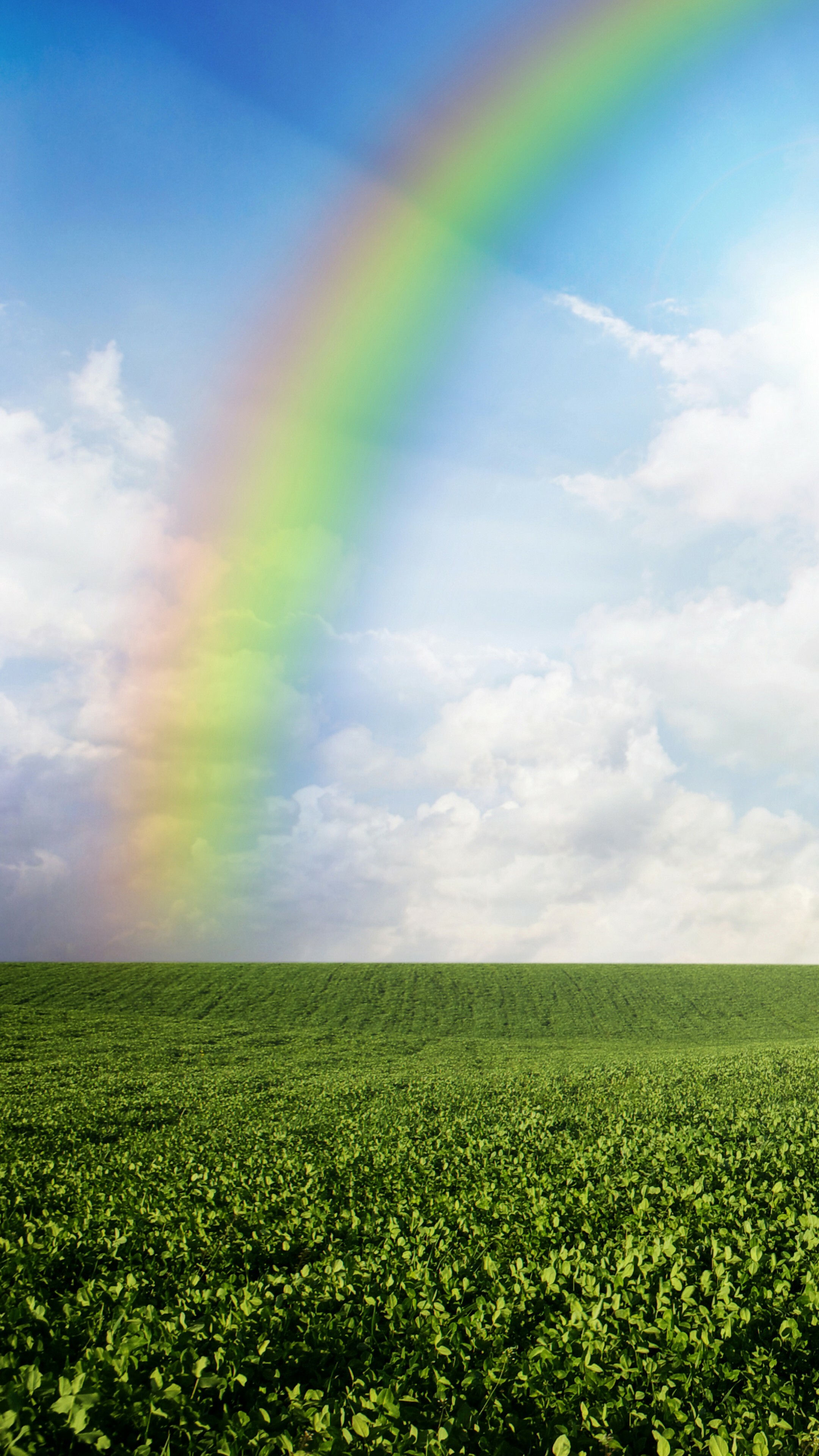 Meadows 5K, Wallpaper, 8K rainbow sky, 2160x3840 4K Phone