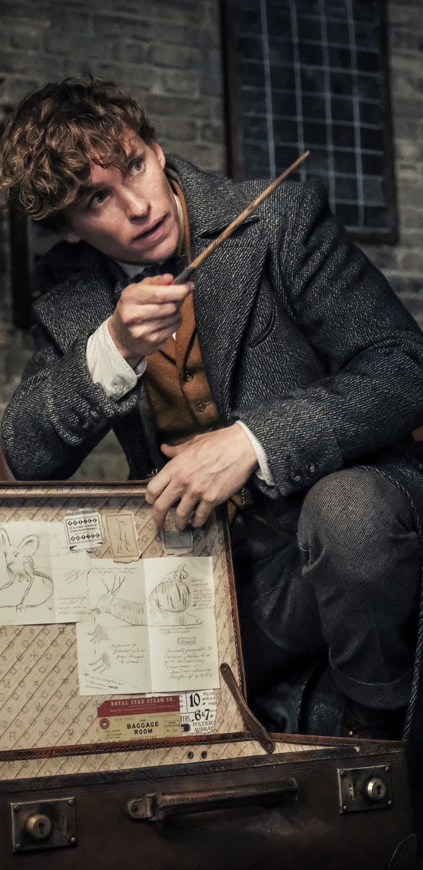 Eddie Redmayne, Newt Scamander, Fantastic Beasts, Crimes of Grindlewald, 1440x2960 HD Phone