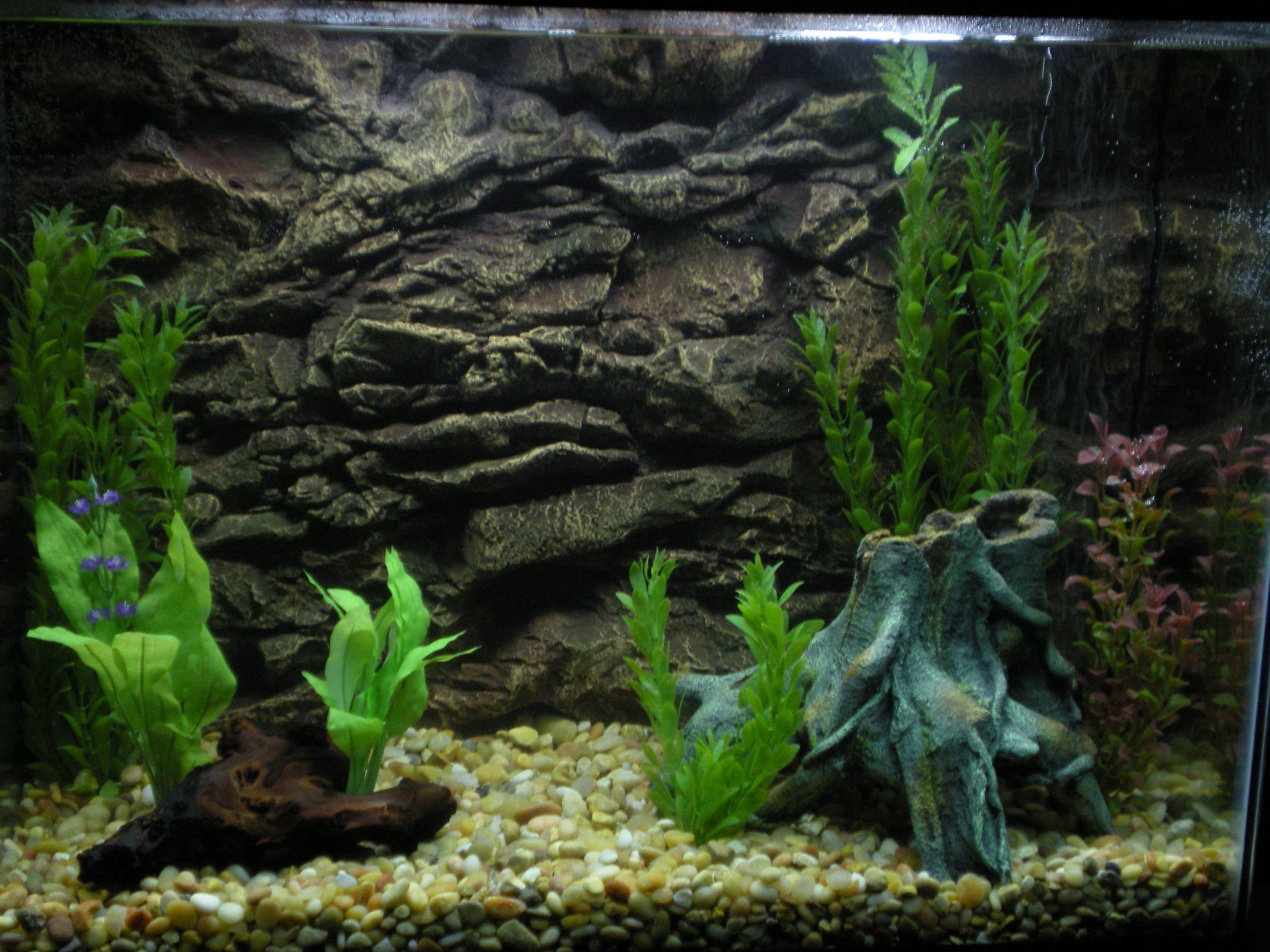 Aquarium, Vinyl aquarium background, Step-by-step process, Aquarium decor, Vibrant aquatic ambiance, 2560x1920 HD Desktop