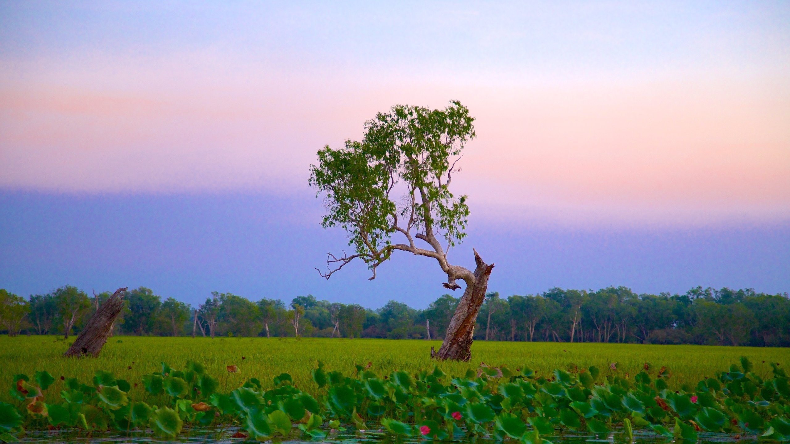 Kakadu National Park, Spectacular attractions, Natural beauty, 2022 travel, 2560x1440 HD Desktop