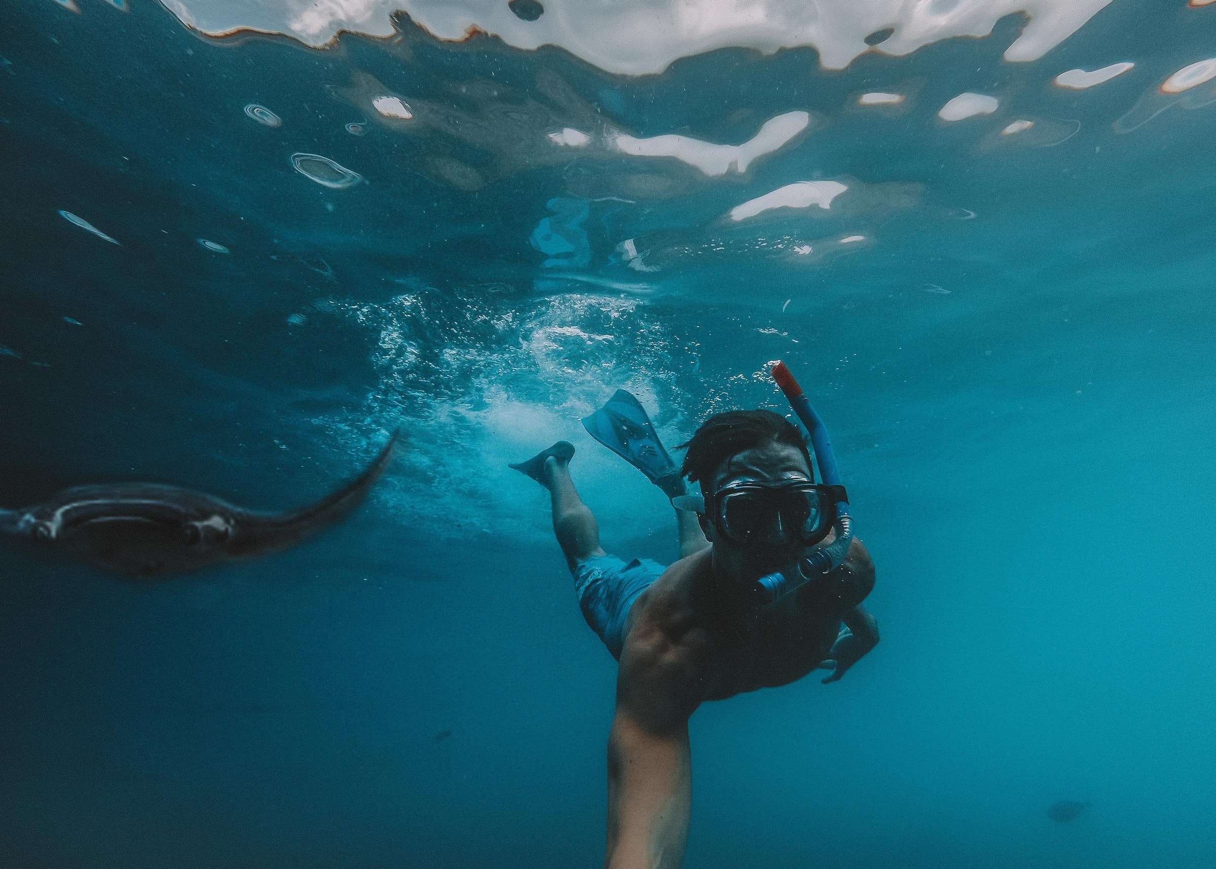 Snorkeling, AdrenalineLk, 2400x1720 HD Desktop