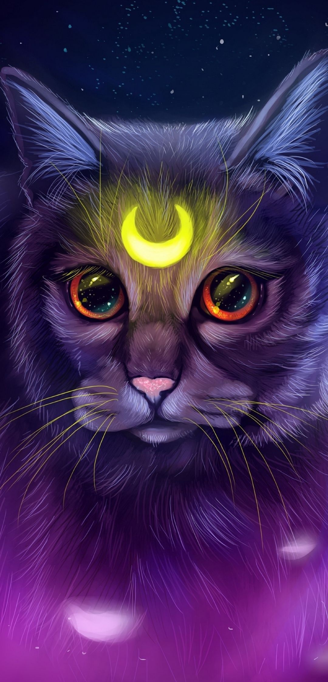 Galaxy Cat, Interstellar night, Dark cosmos, Artistic allure, 1080x2250 HD Phone
