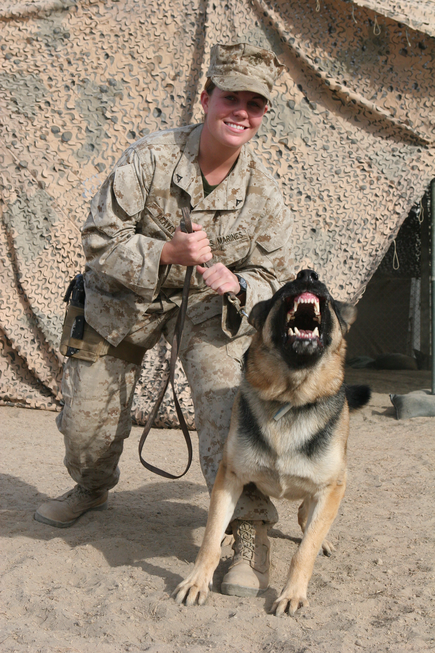 Megan Leavey Movie, Wikipedia details, 1400x2100 HD Phone