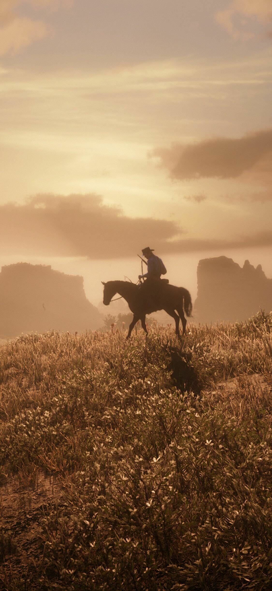 Red Dead Redemption 2, Epic album, Red Dead Redemption tribute, Stunning artwork, 1130x2440 HD Phone
