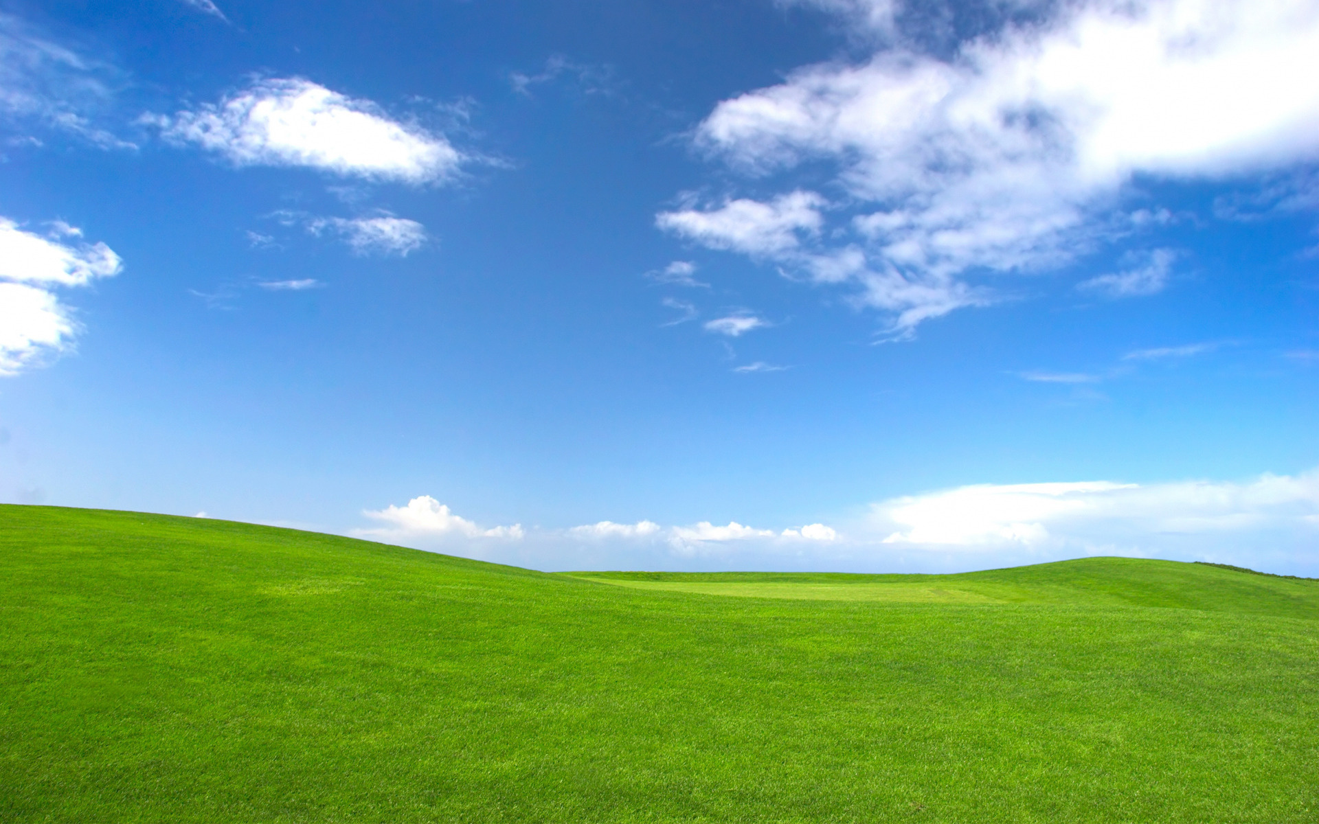 Grass and sky background, Natural scenery, Serene landscapes, Ryan Anderson, 1920x1200 HD Desktop